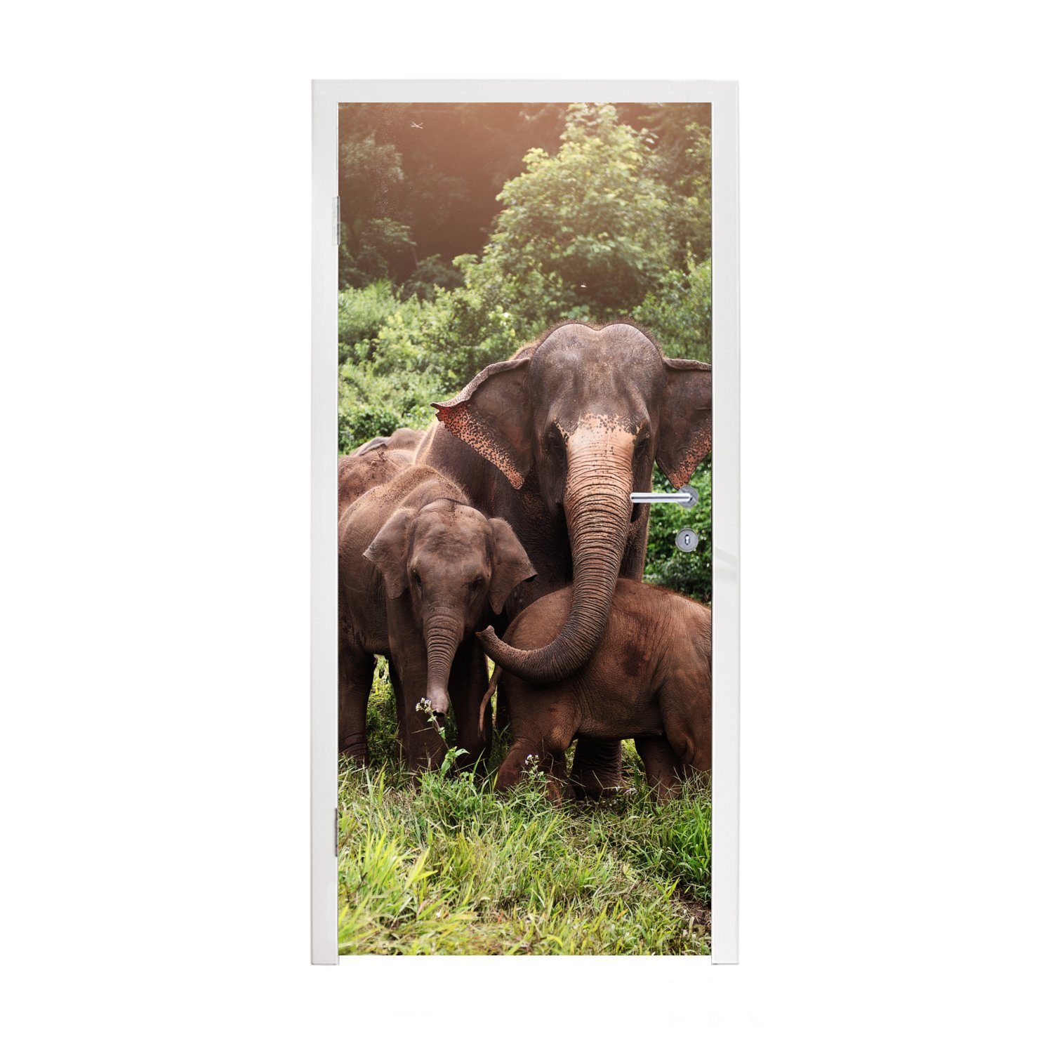 MuchoWow Türtapete Wilde Elefanten, Matt, bedruckt, (1 St), Fototapete für Tür, Türaufkleber, 75x205 cm