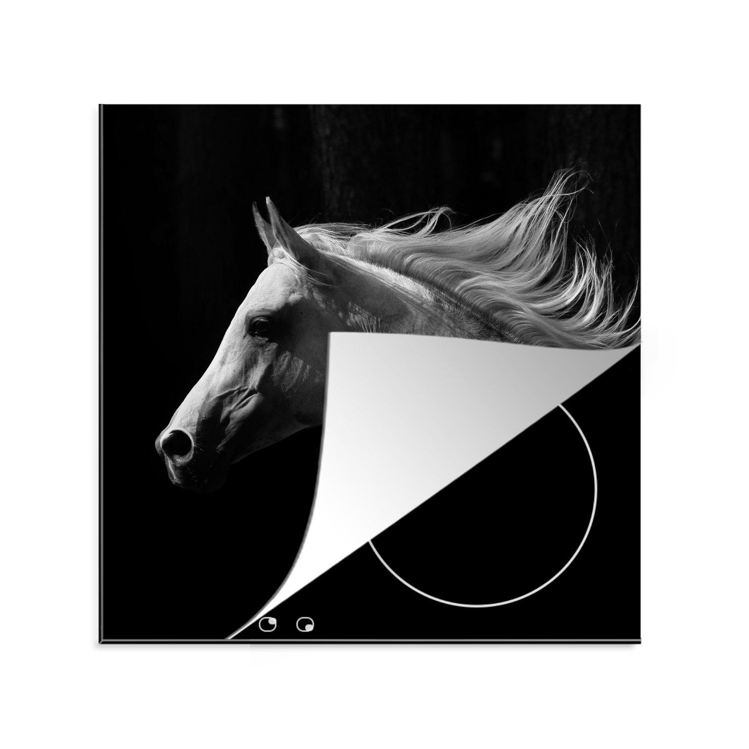 Pferd (1 für Herdblende-/Abdeckplatte MuchoWow Vinyl, Schwarz, tlg), - 78x78 cm, Weiß Ceranfeldabdeckung, Arbeitsplatte - küche
