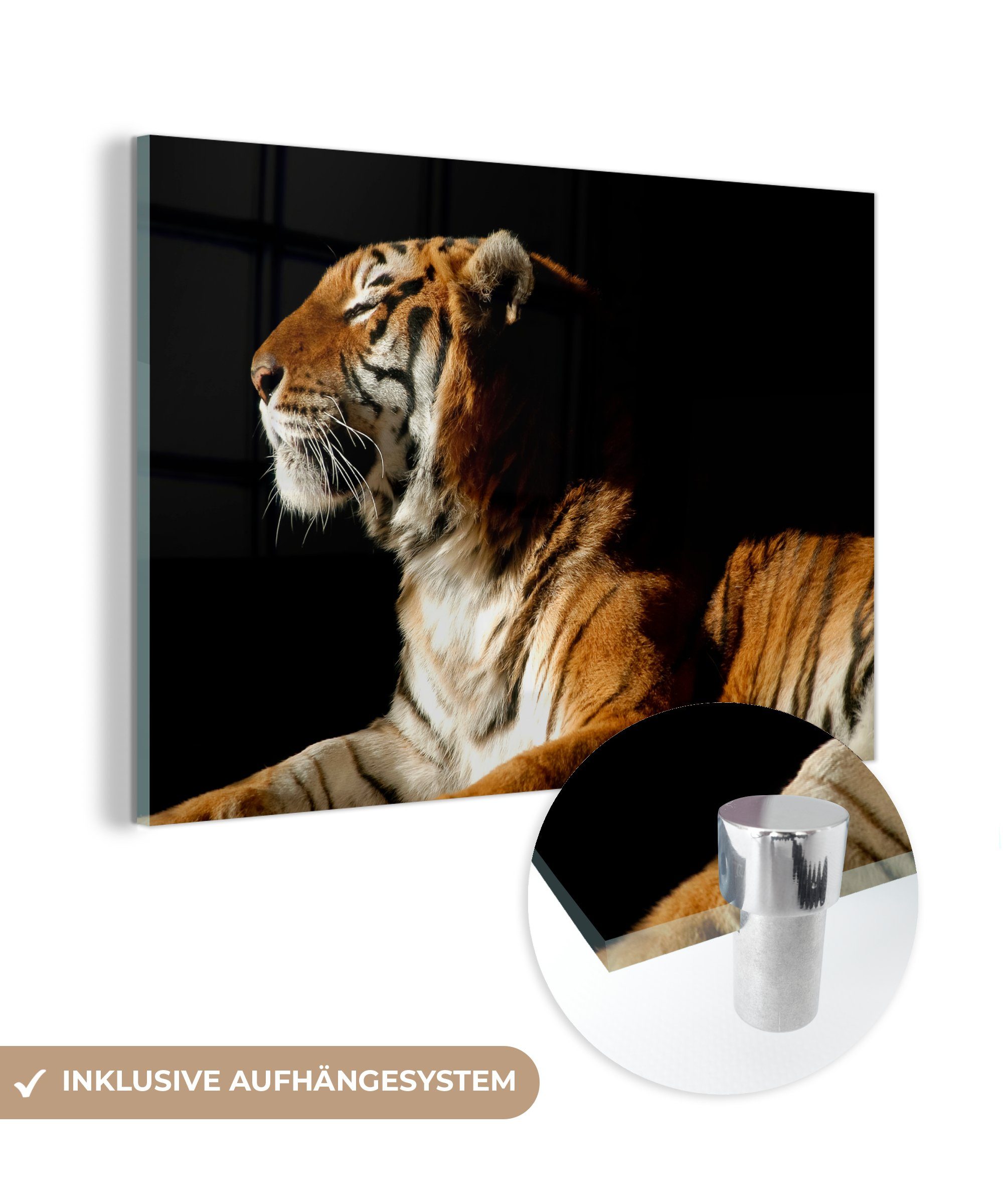 & Acrylglasbilder Tiger Schwarz, St), Wohnzimmer MuchoWow Schlafzimmer - Acrylglasbild - Tiere (1