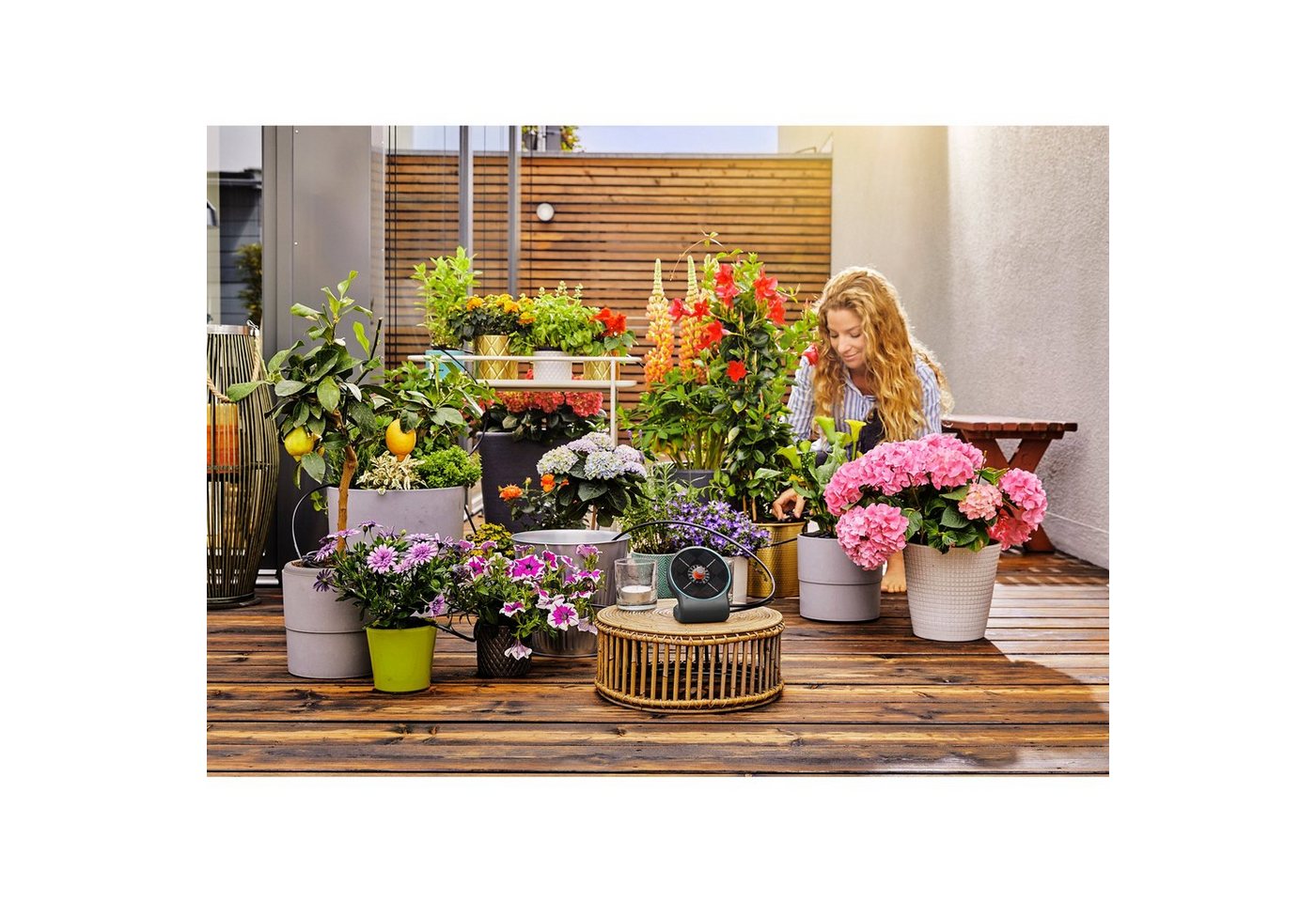 Thumbnail - GARDENA Bewässerungssteuerung GARDENA Solar-Bewässerung AquaBloom Set, inkl.