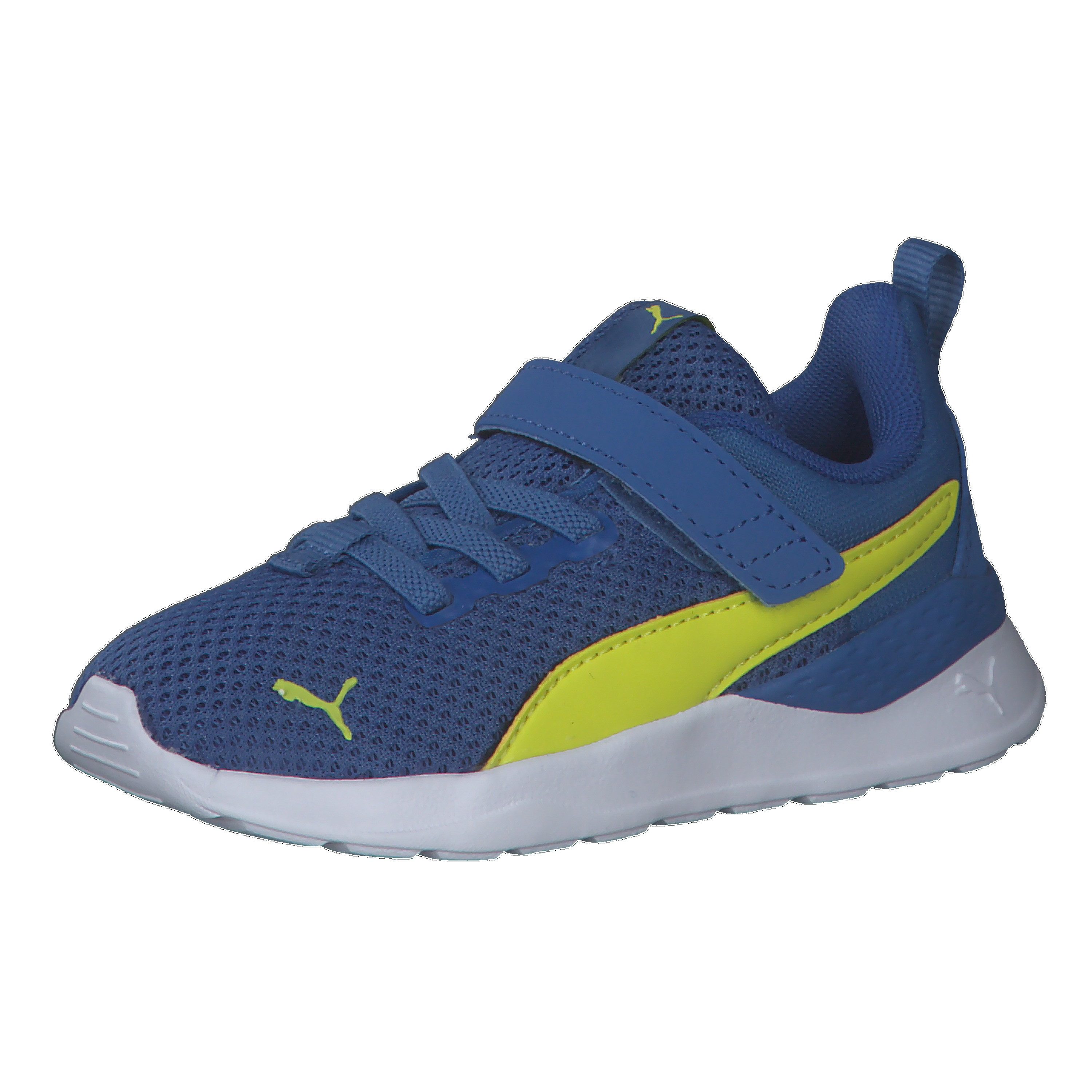 Star Sapphire-Sulphur Spring