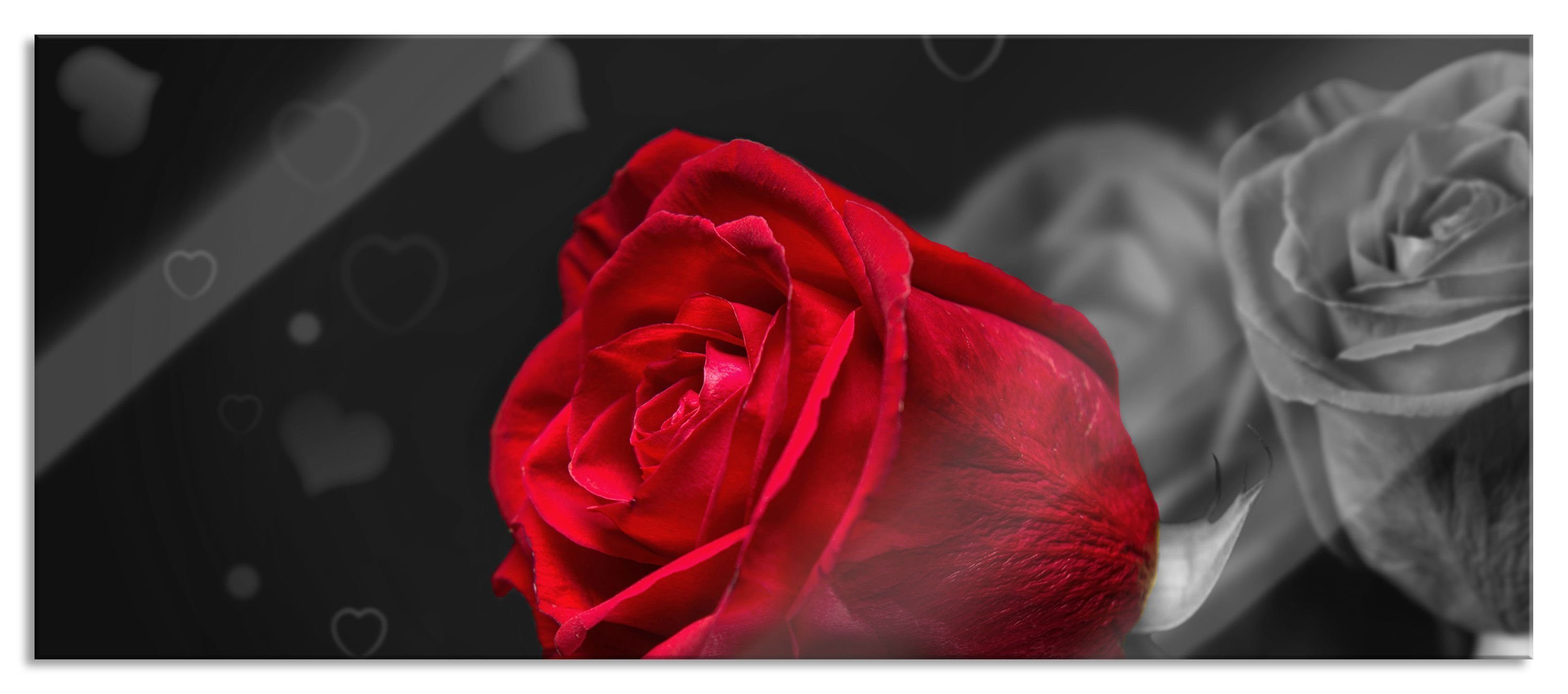 Glasbild rote Rosen zum Valentinstag
