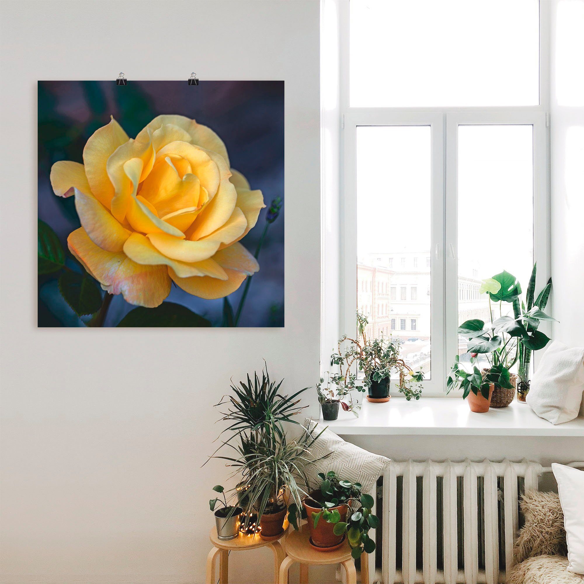 Artland Poster Gelbe Rose, Blumen (1 St), ohne Rahmen