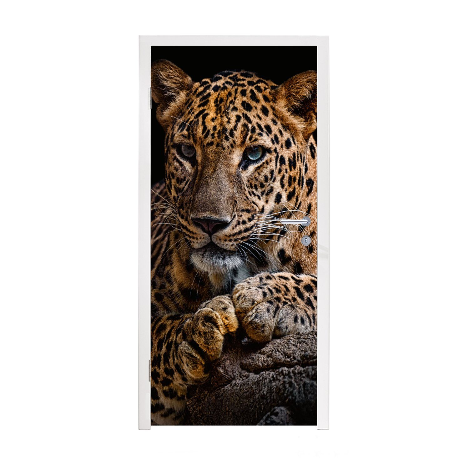 MuchoWow Türtapete Wildtiere - Panther - Porträt - Schwarz - Tiere, Matt, bedruckt, (1 St), Fototapete für Tür, Türaufkleber, 75x205 cm