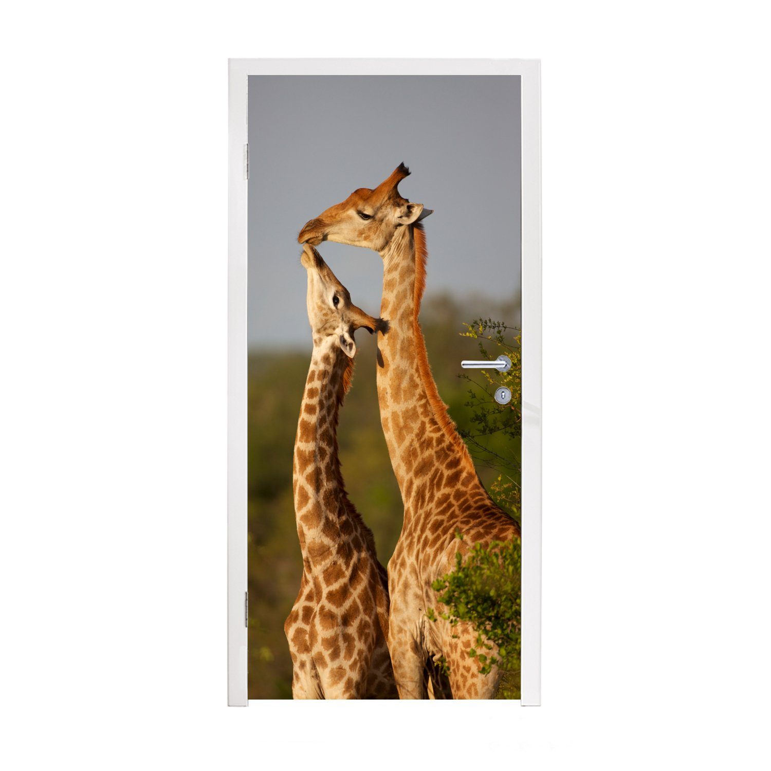 MuchoWow Türtapete Giraffe - Baum - Kalb - Porträt, Matt, bedruckt, (1 St), Fototapete für Tür, Türaufkleber, 75x205 cm