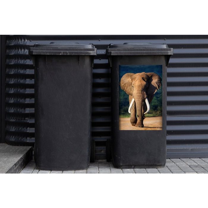 MuchoWow Wandsticker Elefant - Zähne - Natur (1 St) Mülleimer-aufkleber Mülltonne Sticker Container Abfalbehälter QR11044