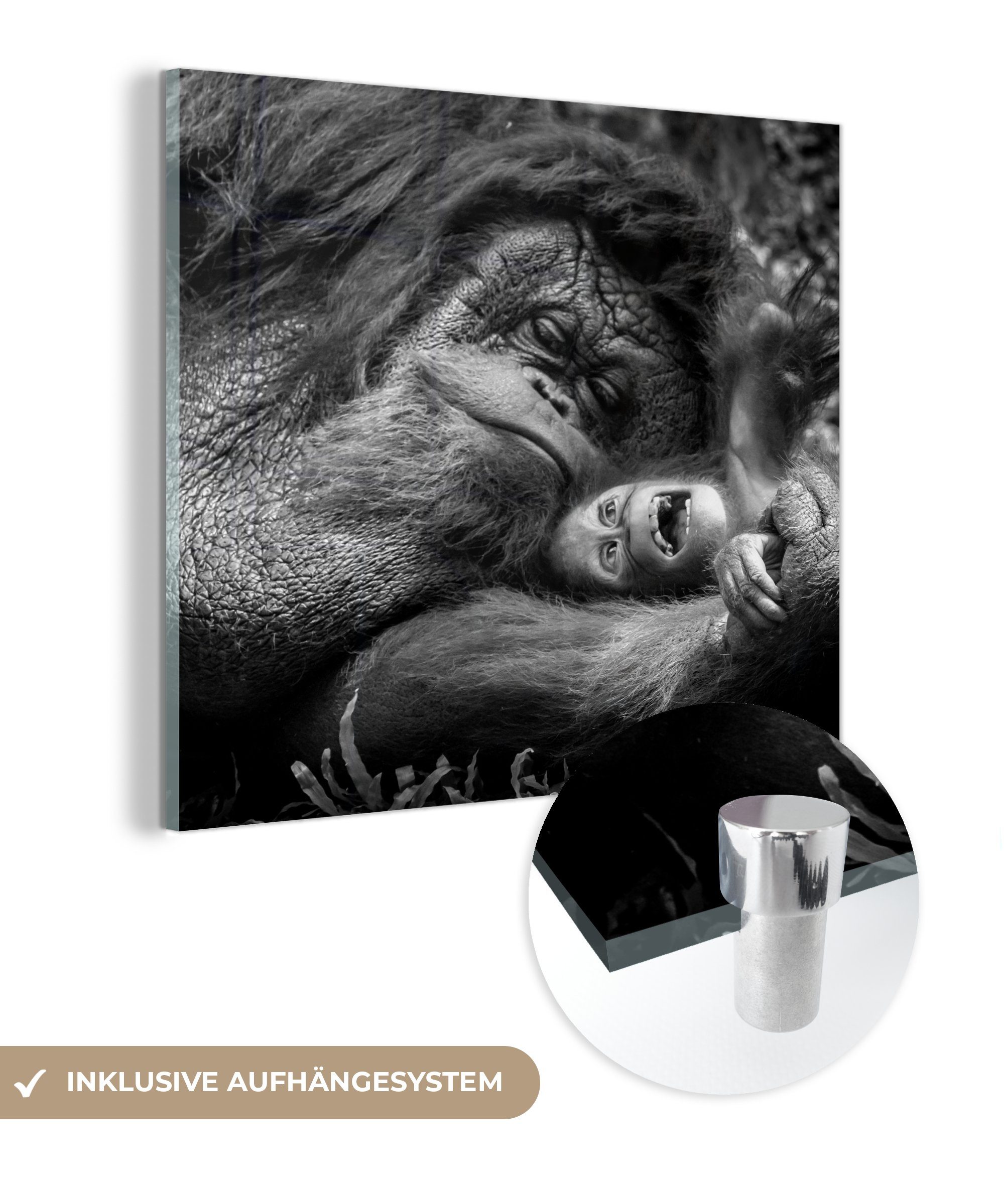 MuchoWow Acrylglasbild Liebender Orang-Utan mit Jungtier in Schwarz und Weiß, (1 St), Glasbilder - Bilder auf Glas Wandbild - Foto auf Glas - Wanddekoration