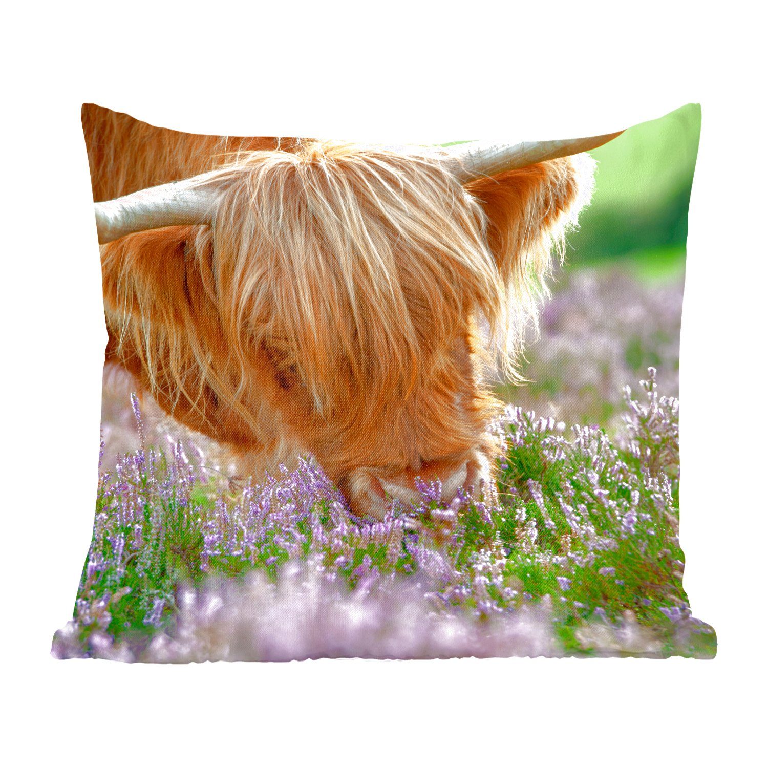 Schlafzimmer, - für Highlander Heidekraut Zierkissen Wohzimmer, Tiere, Gras Sofakissen Dekokissen Schottische Füllung - mit Deko, - MuchoWow