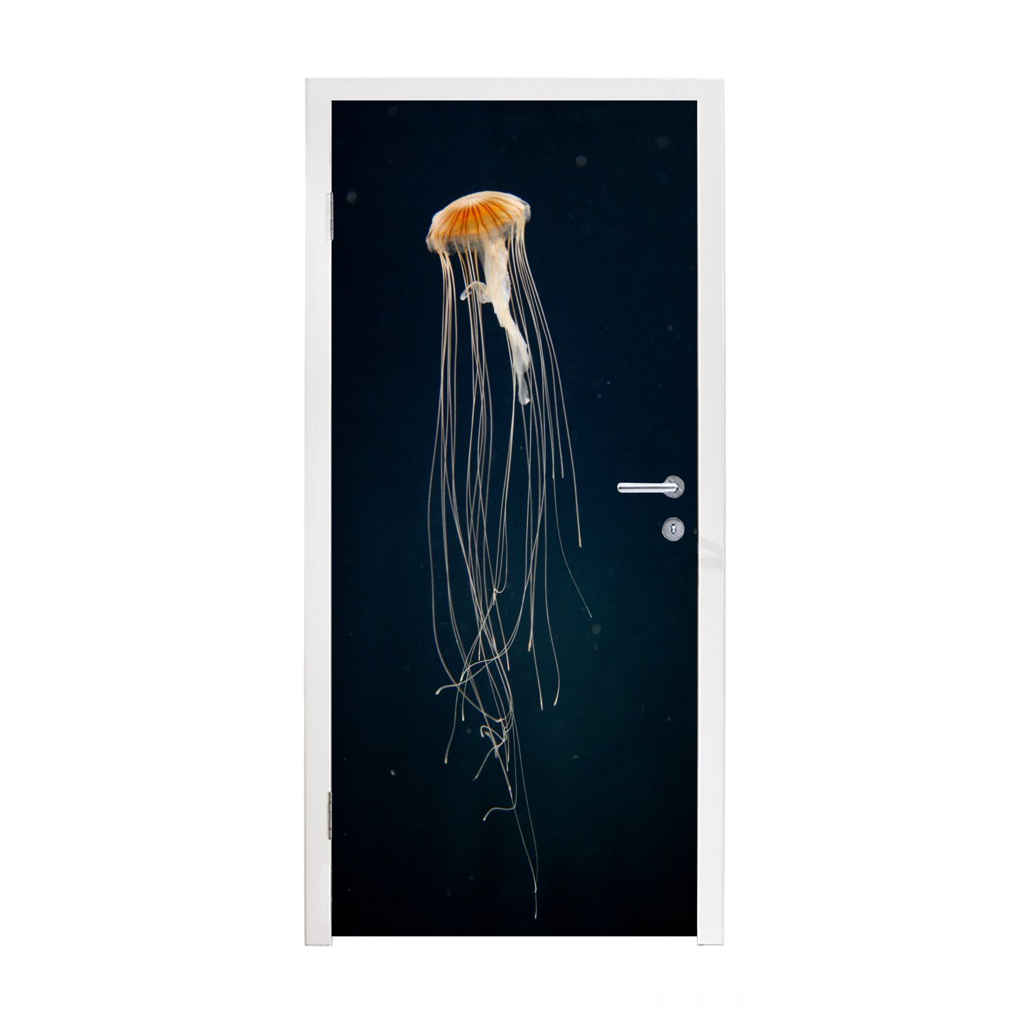 MuchoWow Türtapete Qualle - Meerestier - Tentakel, Matt, bedruckt, (1 St), Fototapete für Tür, Türaufkleber, 75x205 cm