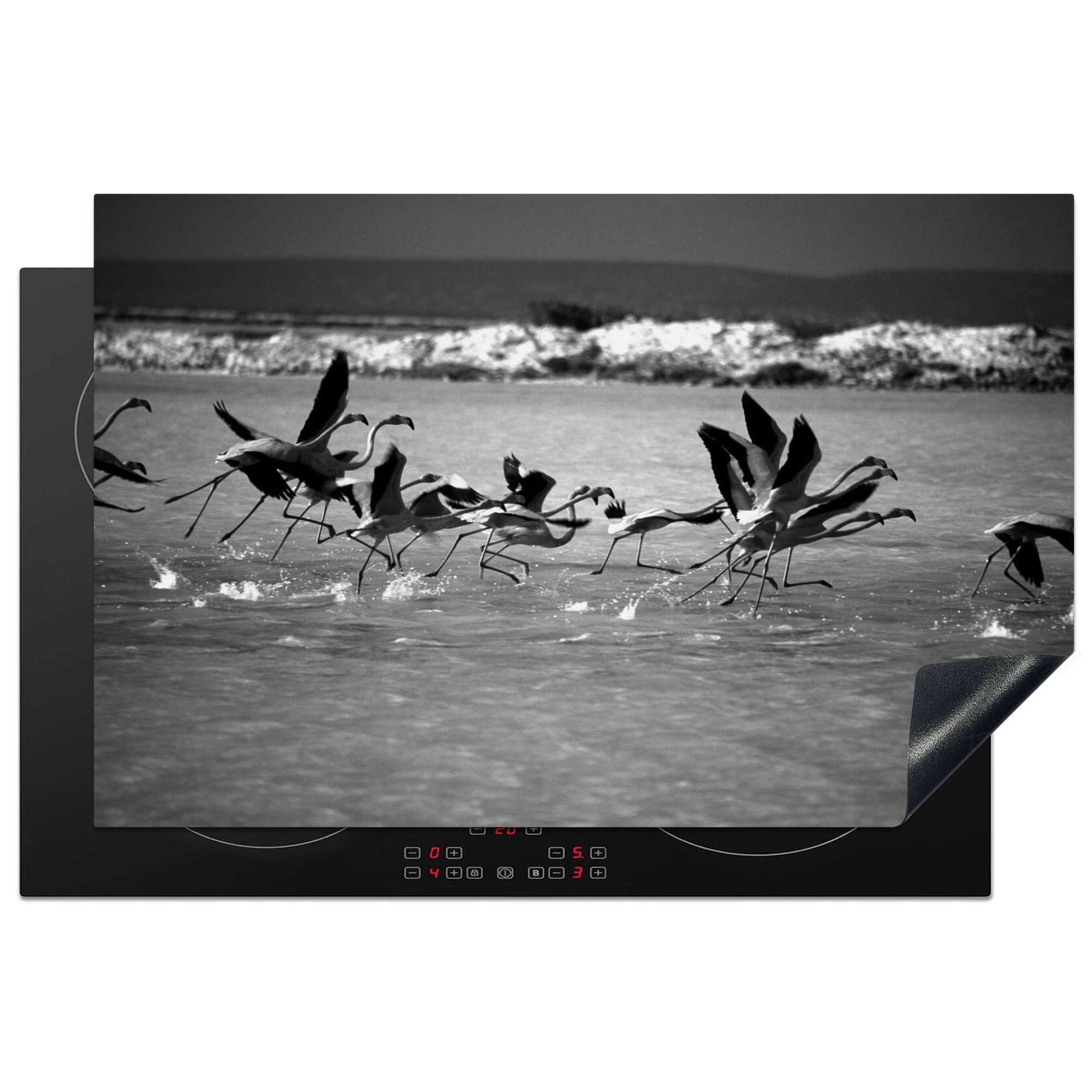MuchoWow Herdblende-/Abdeckplatte Aus dem Wasser fliegende Flamingos auf Bonaire in Schwarz-Weiß, Vinyl, (1 tlg), 81x52 cm, Induktionskochfeld Schutz für die küche, Ceranfeldabdeckung