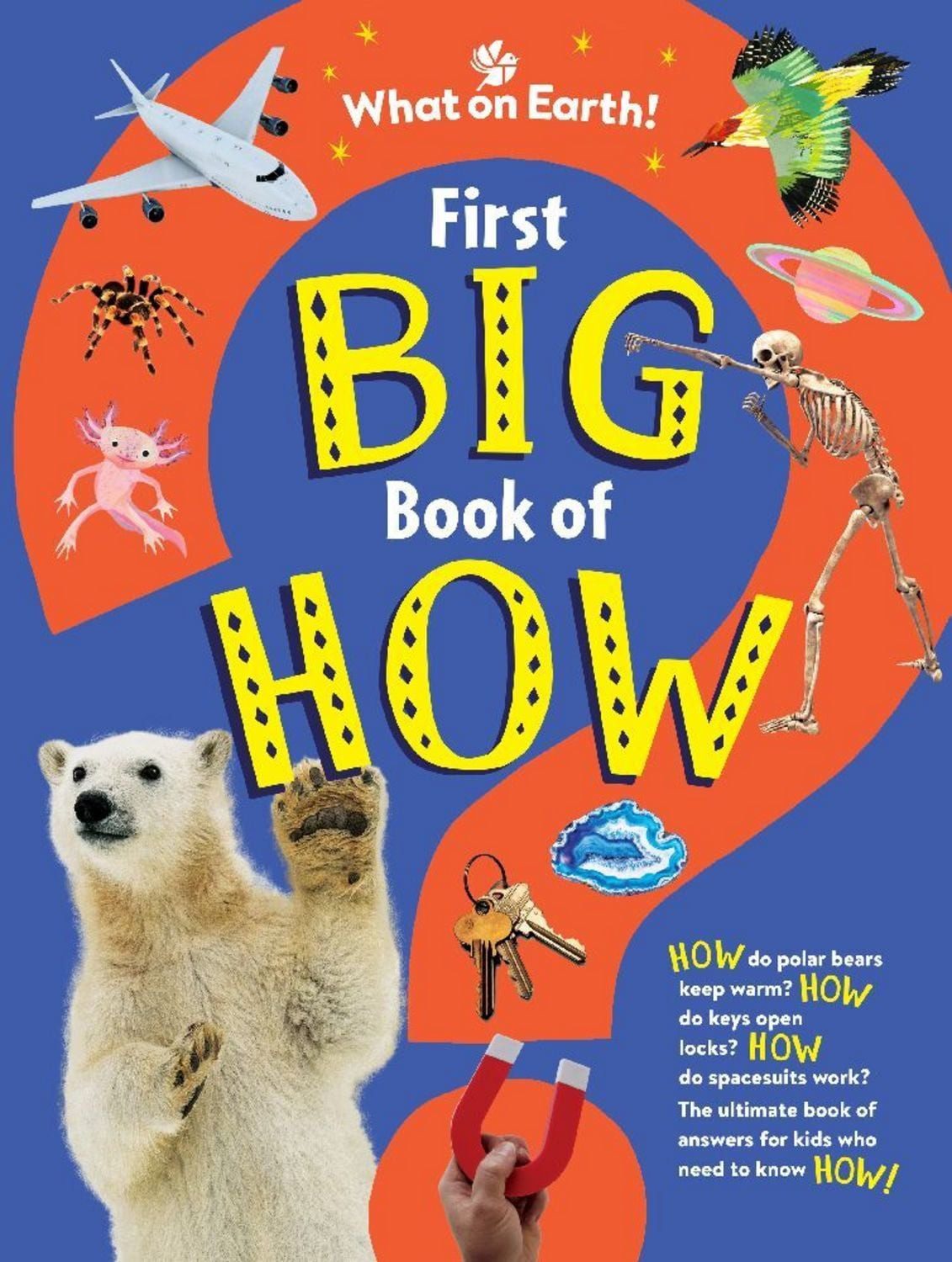 First Big Book of How / Sally Symes