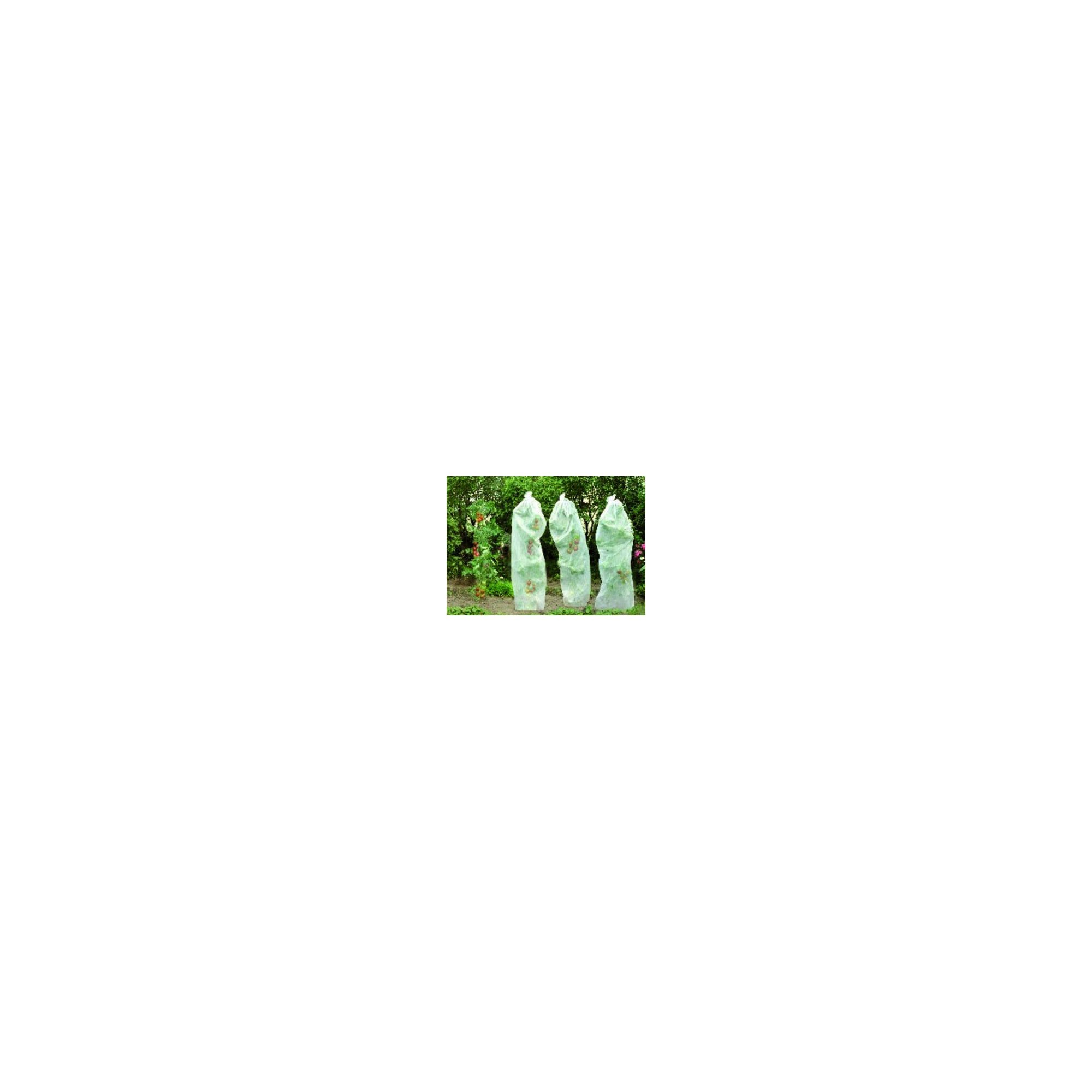 Floraworld Malervlies floraworld Tomatenreifevlies 0,8x5m 17g weiß