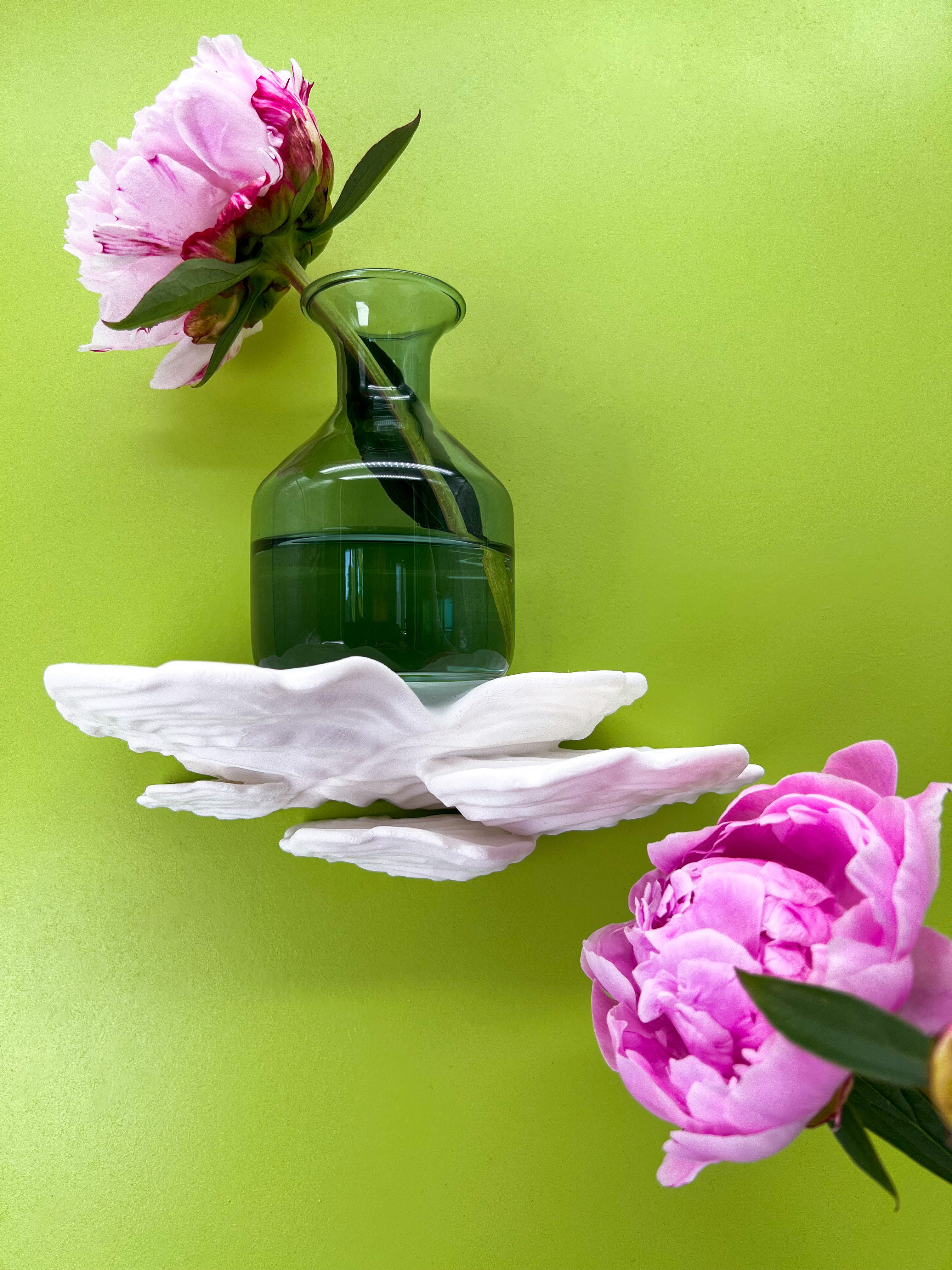 Roomberry Deko-Wandregal Schwebendes Schichtpilz Wandregal – Das perfekte D günstig online kaufen