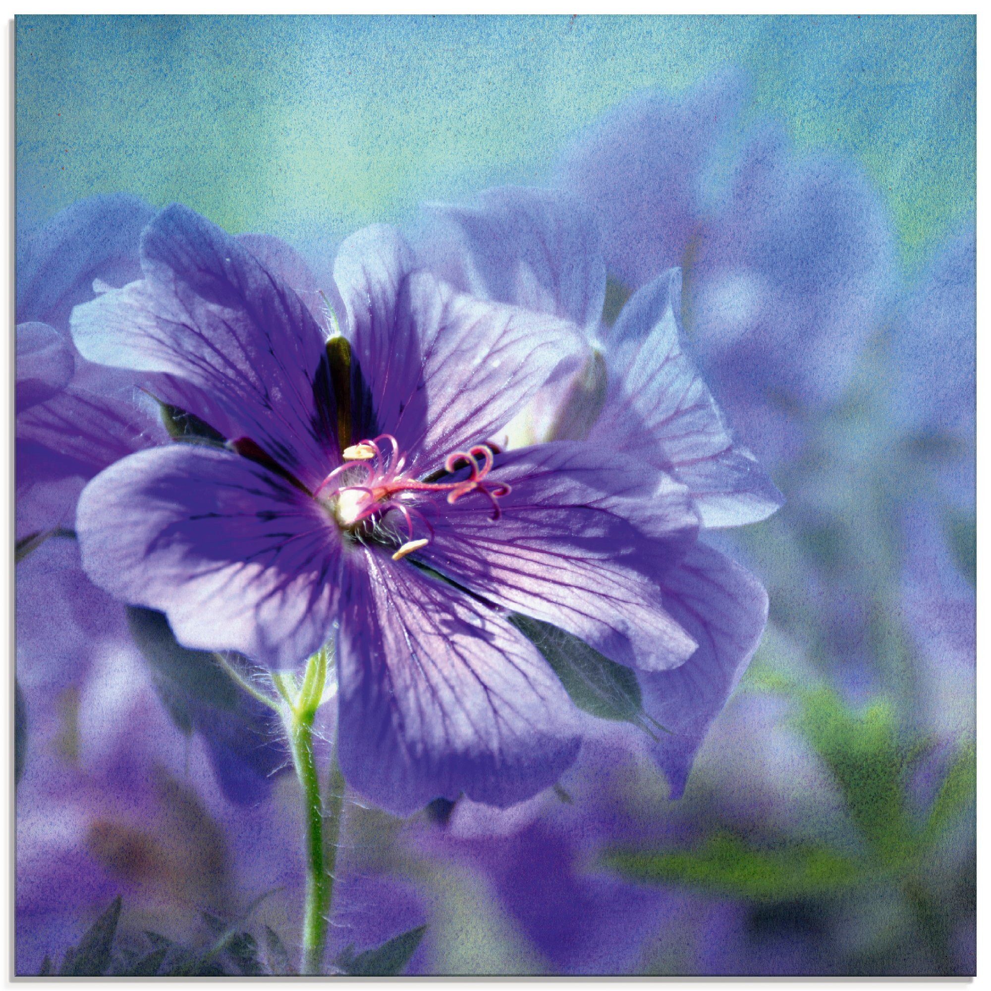 St), Glasbild Blume, in Artland Blaue Größen verschiedenen (1 Blumen