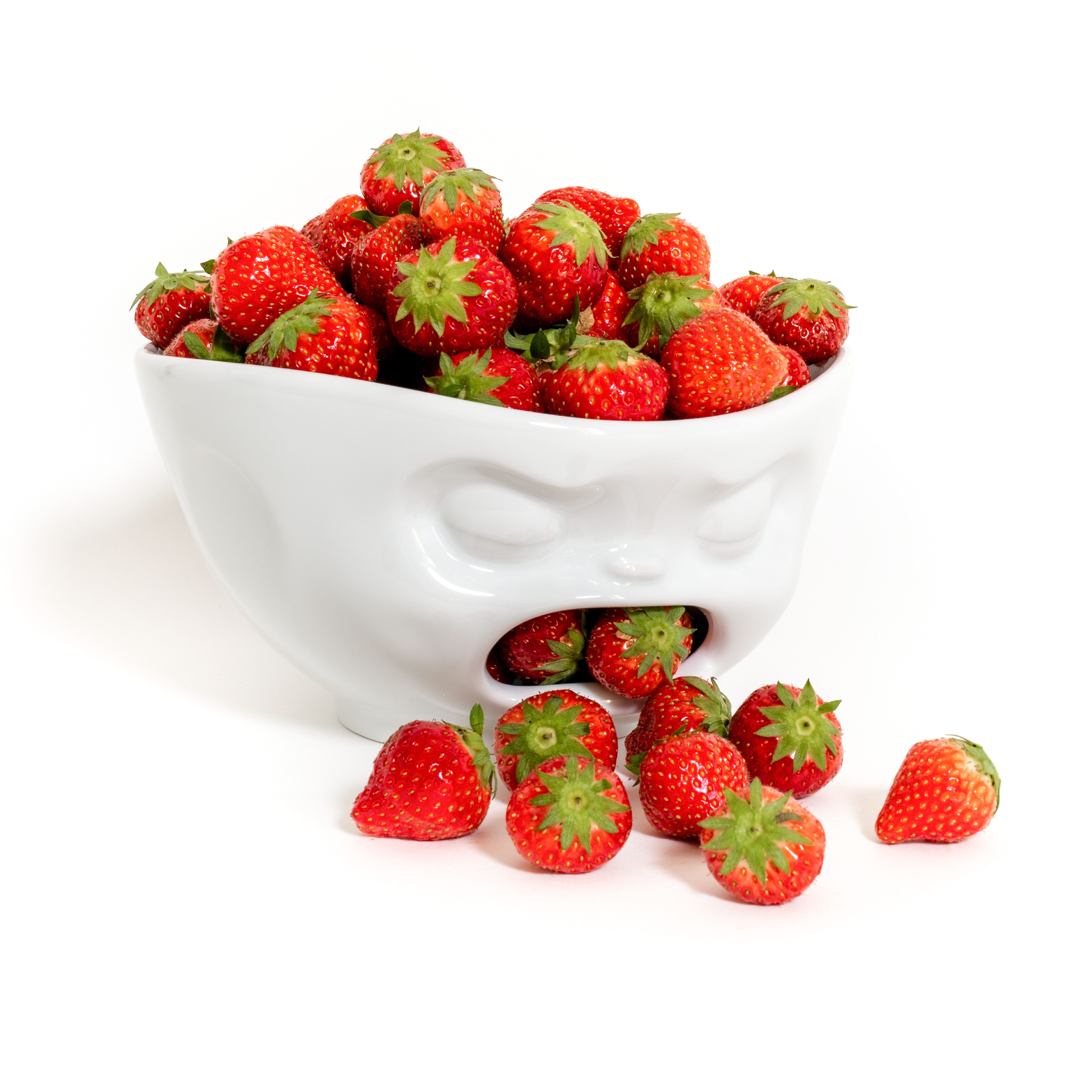 FIFTYEIGHT PRODUCTS Dekoschale FiftyEight Schale "Kotzend" 1000ml günstig online kaufen