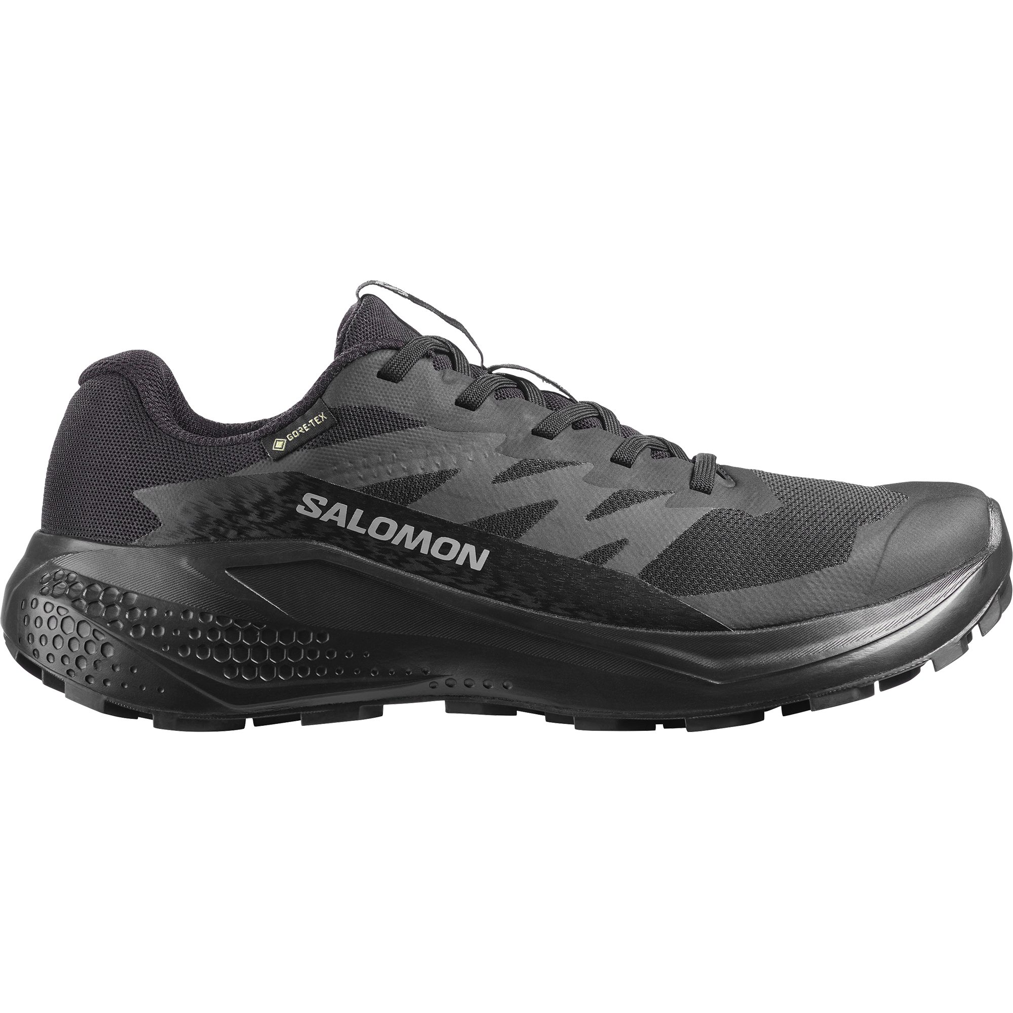 Salomon ALPHAGLIDE GORE-TEX® W Trailrunningschuh wasserdicht