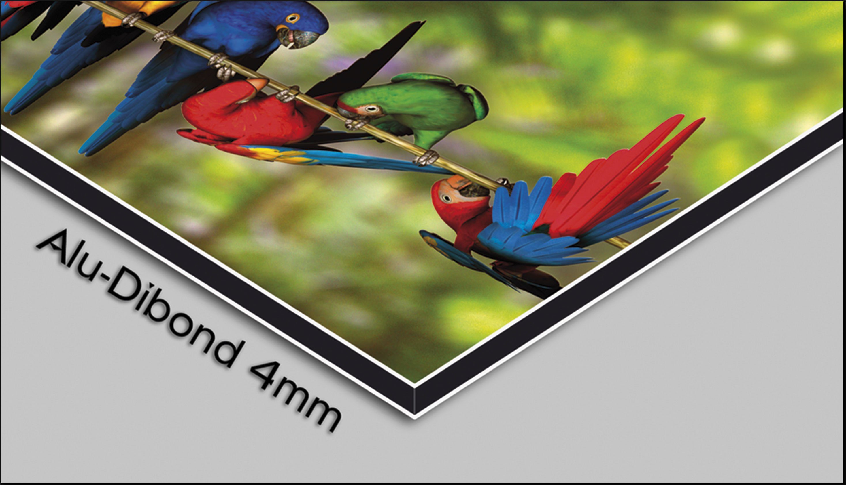 aus Designer (Einzigartige Wanduhr 3D-Optik Wanduhr 4mm Vogelhäuschen Asia Wanduhren modernes Kirschblüte dixtime Alu-Dibond)