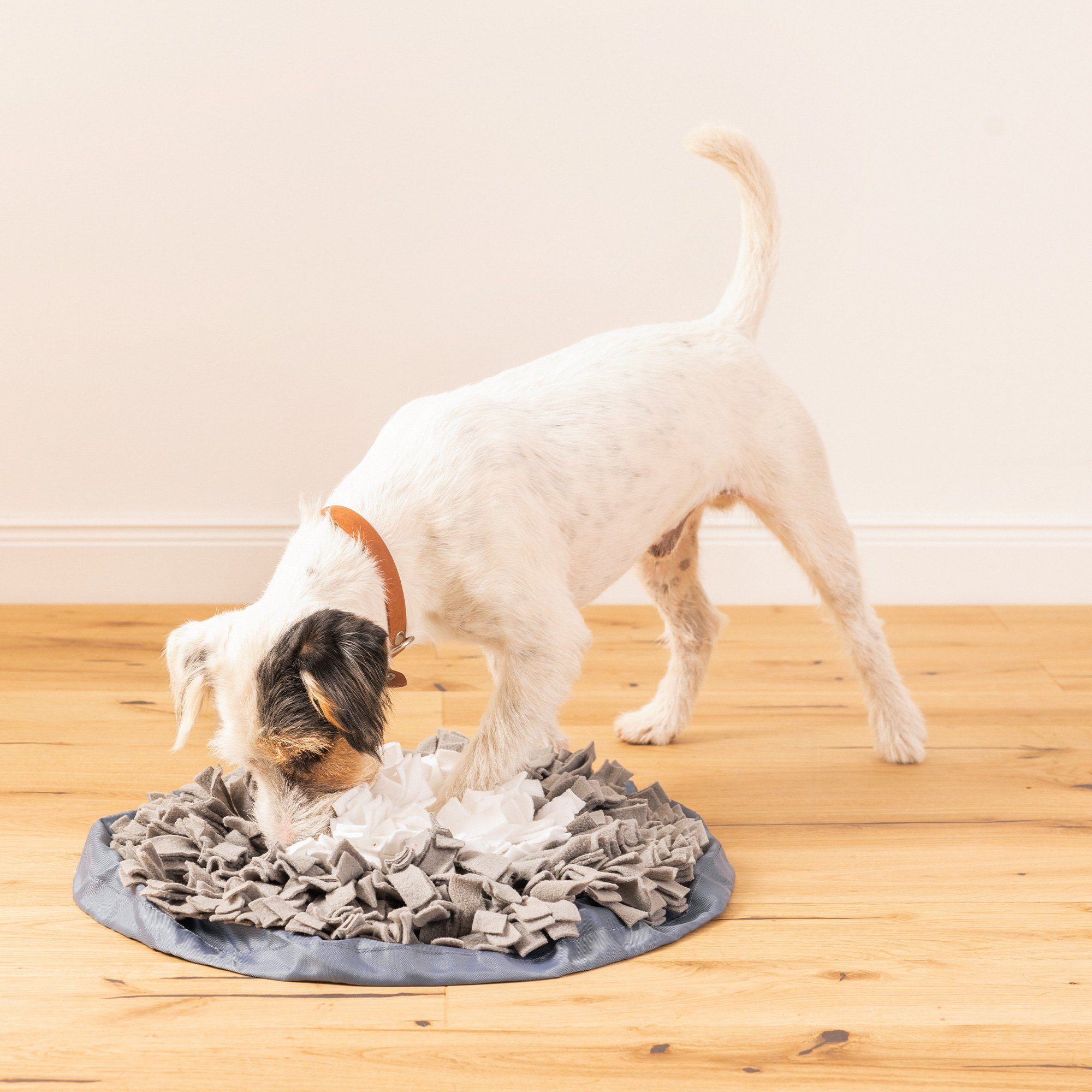 Navaris Hundematte Schnüffelteppich für Hunde - günstig online kaufen