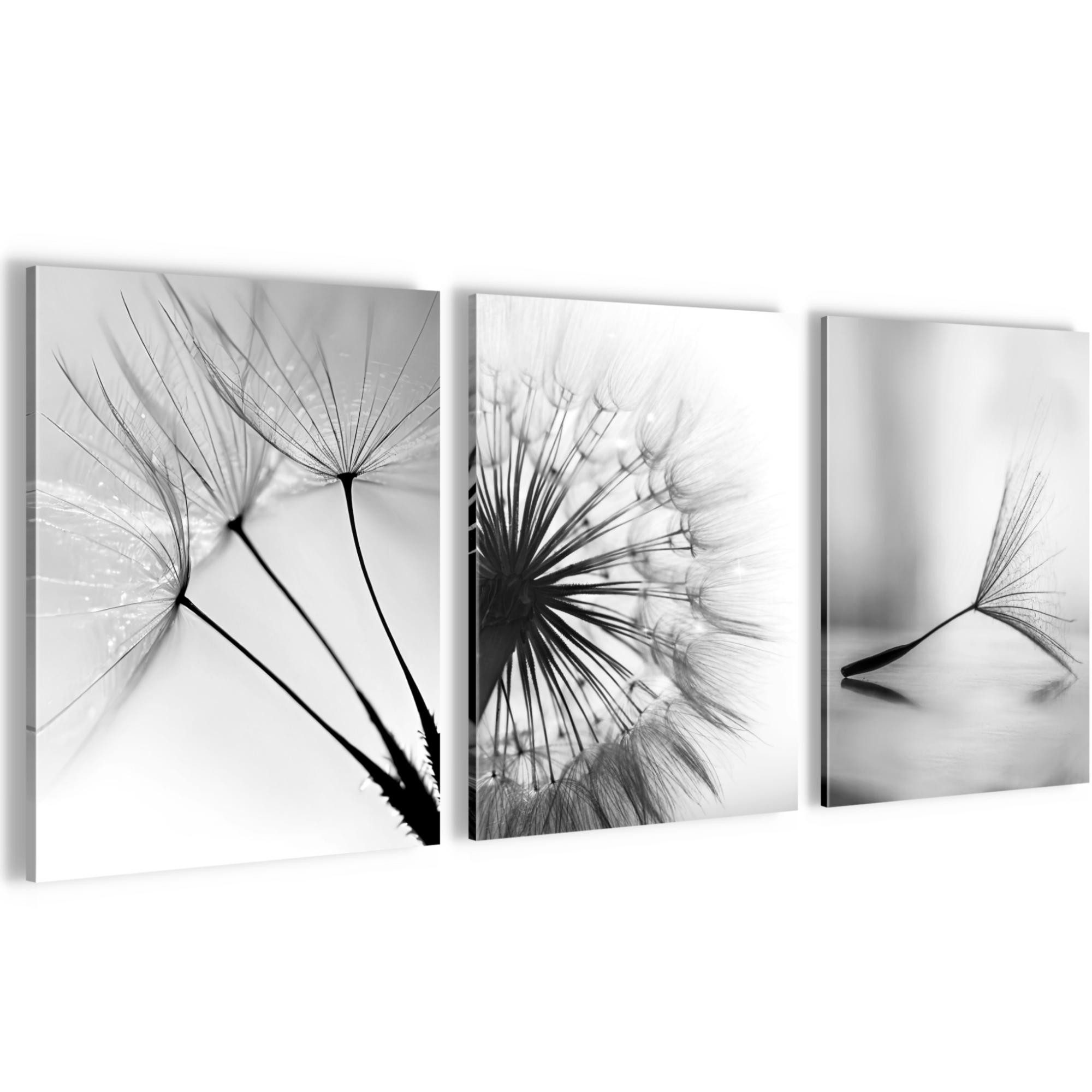 Novart Wandbild Pusteblumen AUFHÄNGFERTIG Flur Deko 3 Moderne Bilder N0360, 30 x 40 cm - 3 Bilder