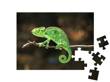 puzzleYOU Puzzle Südasiatisches Chamäleon, Chamaeleo zeylanicus, 48 Puzzleteile, puzzleYOU-Kollektionen Chamäleons, Tiere in Dschungel & Regenwald