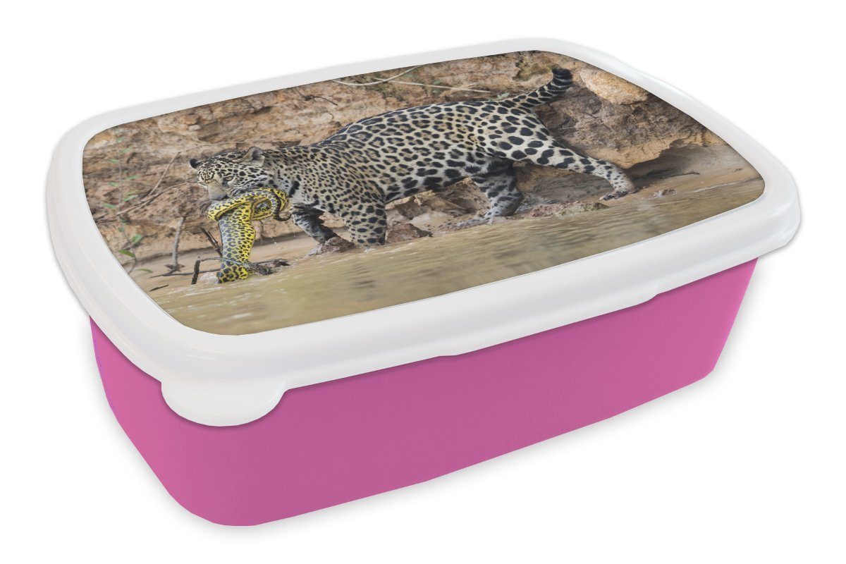Brotdose rosa für - Brotbox Kunststoff, Jaguar MuchoWow Mädchen, Snackbox, Lunchbox (2-tlg), - Erwachsene, Kinder, Wasser, Kunststoff Schlange