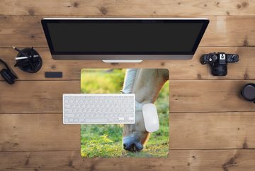 MuchoWow Gaming Mauspad Weidendes Fjordpferd an einem Sommertag (1-St), Mousepad mit Rutschfester Unterseite, Gaming, 40x40 cm, XXL, Großes