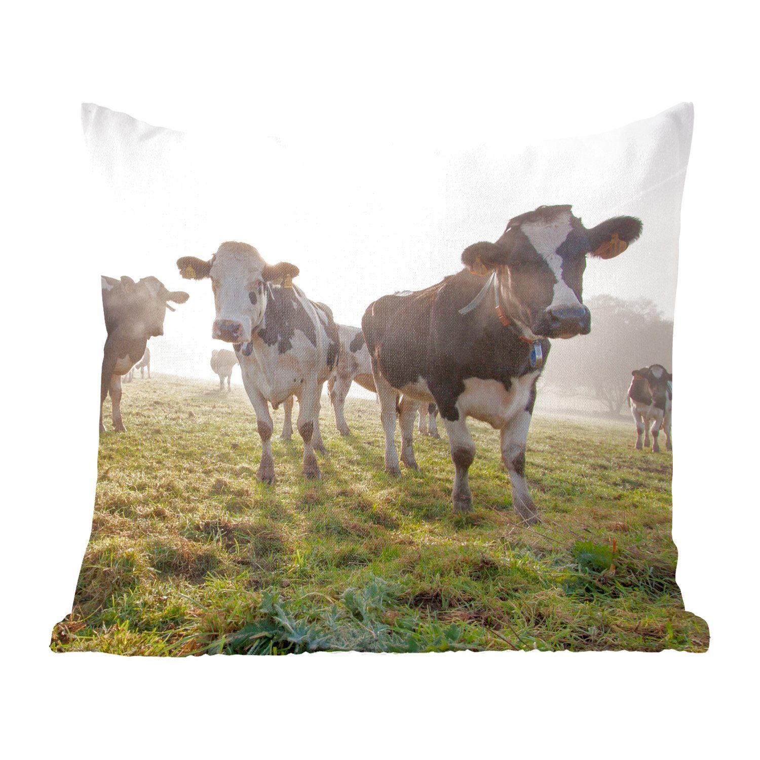 MuchoWow Dekokissen Kühe - Licht - Gras - Tiere, Zierkissen mit Füllung für Wohzimmer, Schlafzimmer, Deko, Sofakissen