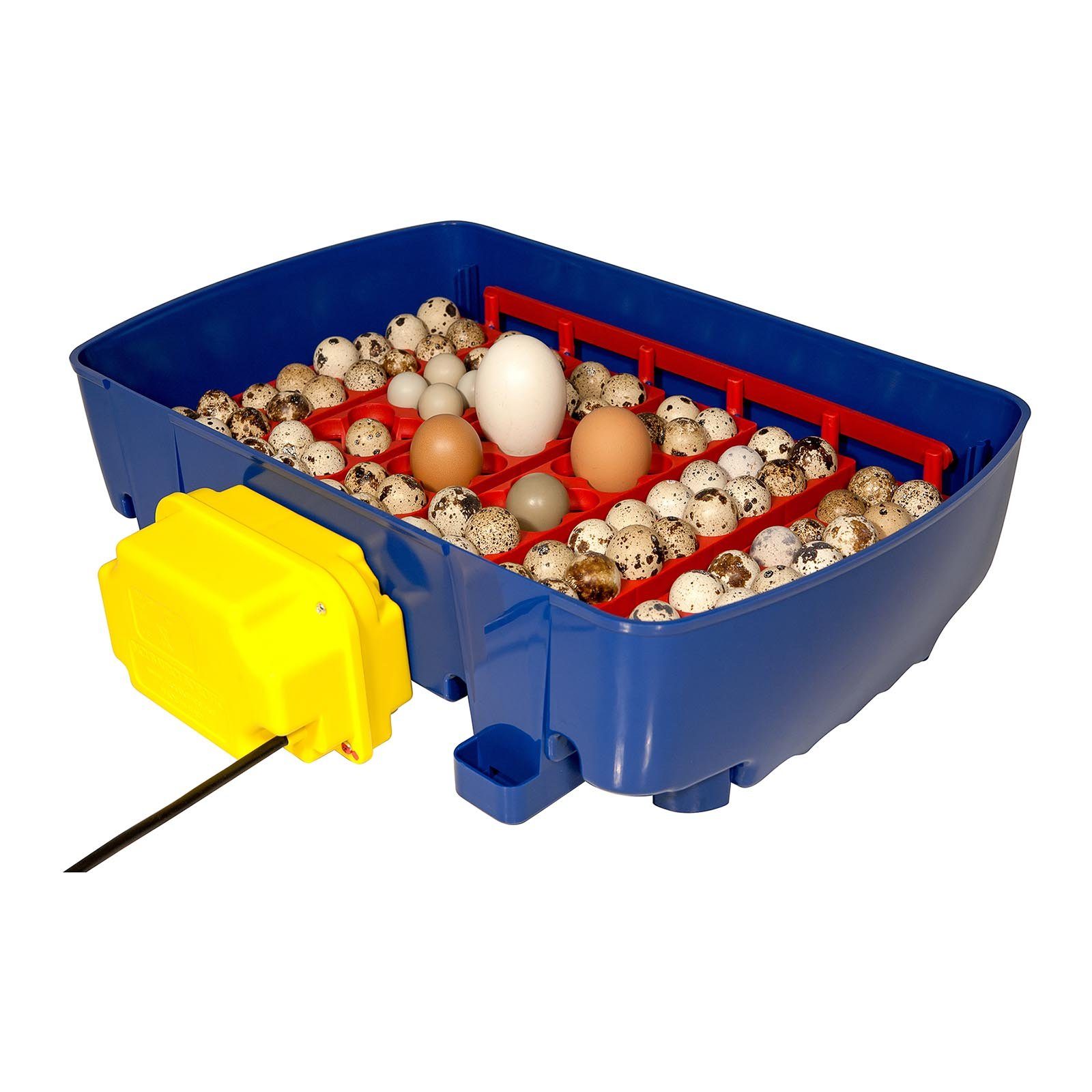 24 vollautomatisch Eier Hühnerstall Wasserspender Brutmaschine APS Brutapparat