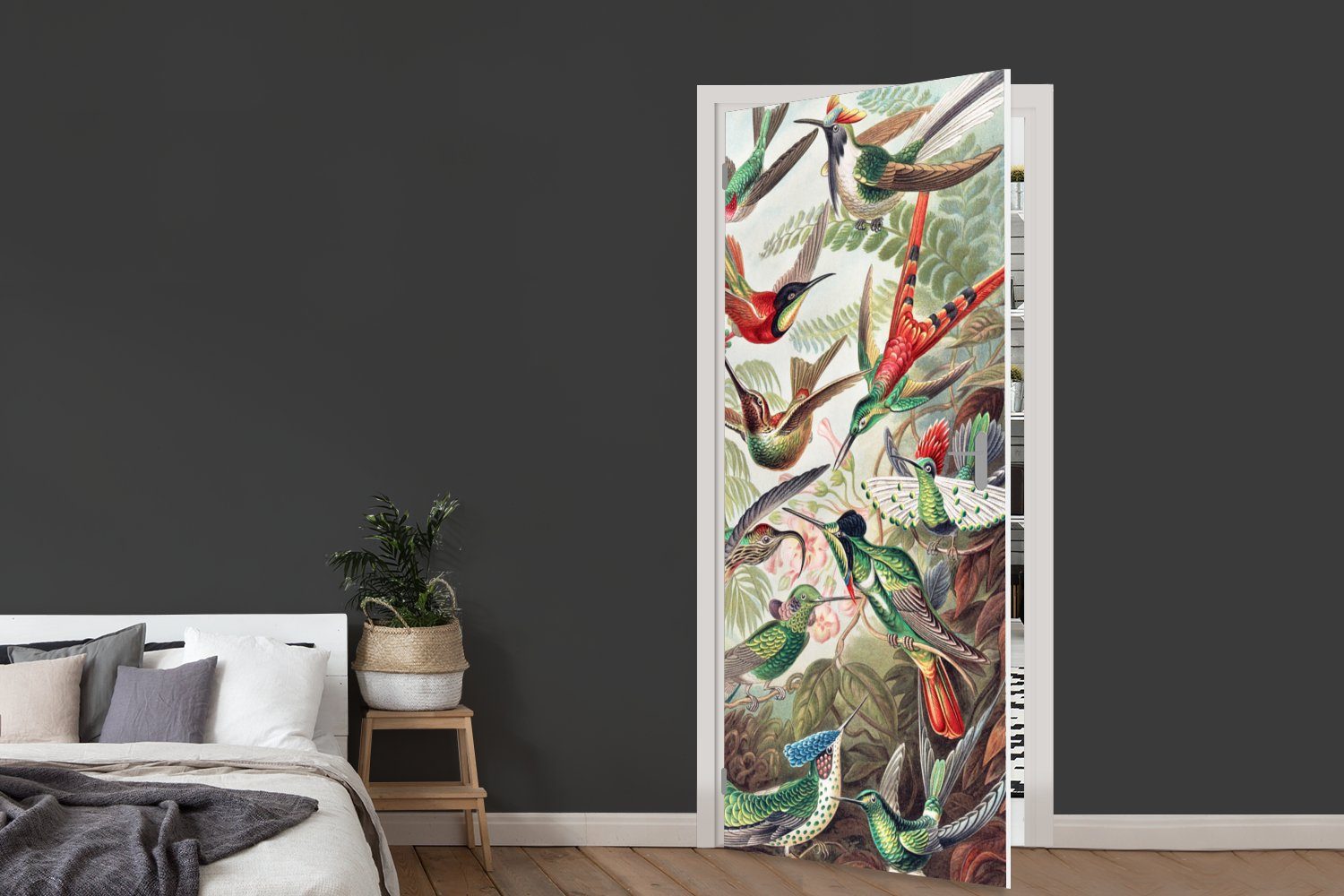 - - Türaufkleber, MuchoWow 75x205 Matt, Kolibri Ernst (1 Vintage Türtapete St), für Vogel Kunst Fototapete - - - bedruckt, Natur, cm Tür, Haeckel