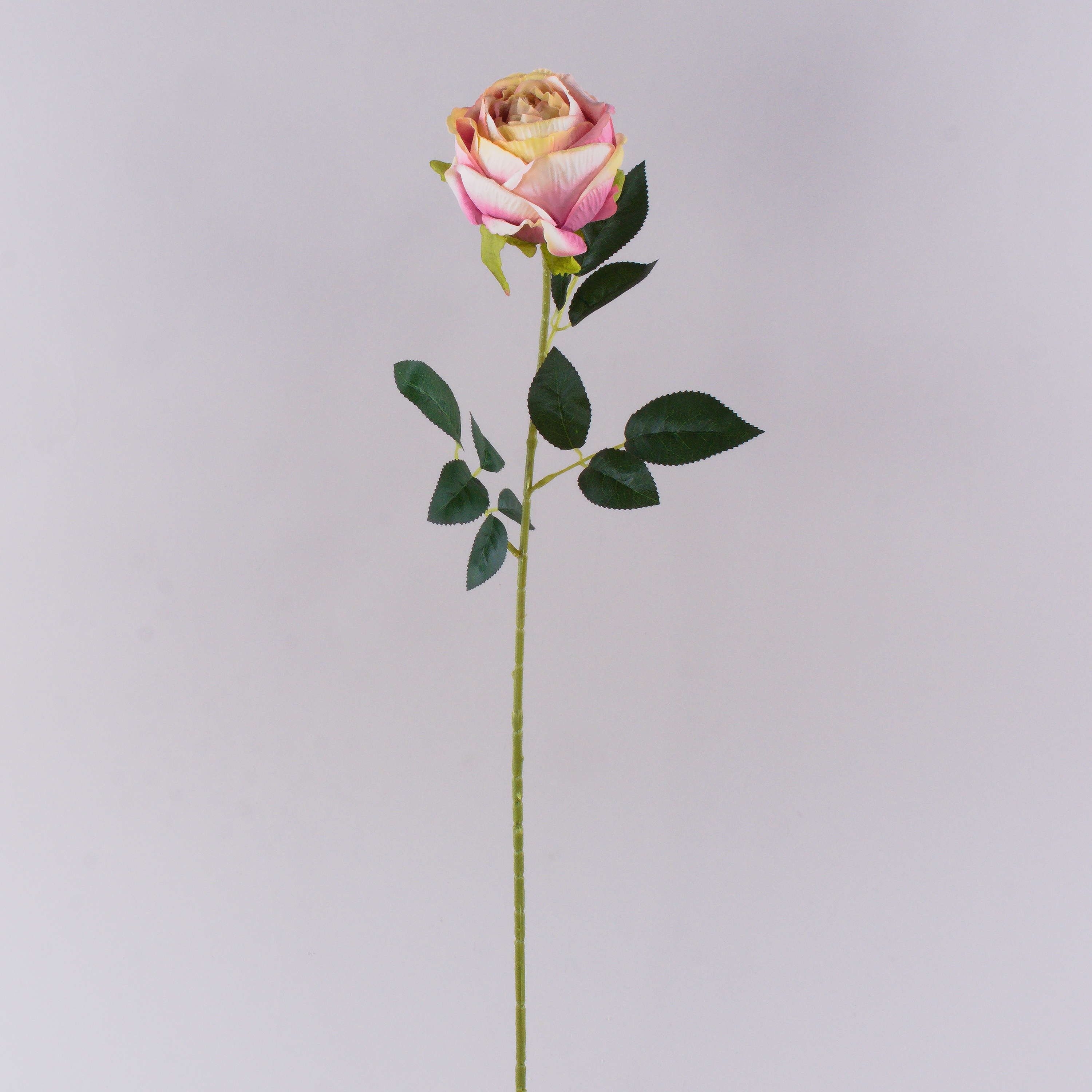 Kunstblume Künstliche Rose CHERLEN, rosa-Creme, 60cm, Ø10cm Rose, artplants, Höhe 65.0 cm