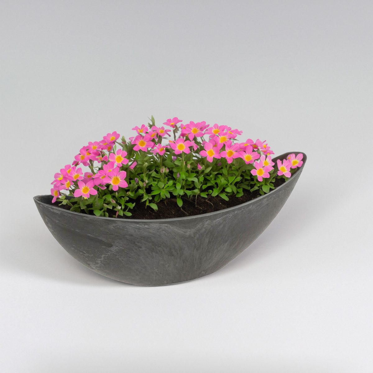 matches21 HOME & HOBBY Blumentopf Große Pflanzschalen oval, schwarz 39 cm für außen (2 St), Wetterfeste Outdoor Blumen-Schalen als Grab-Schmuck – Bild 4 von 5