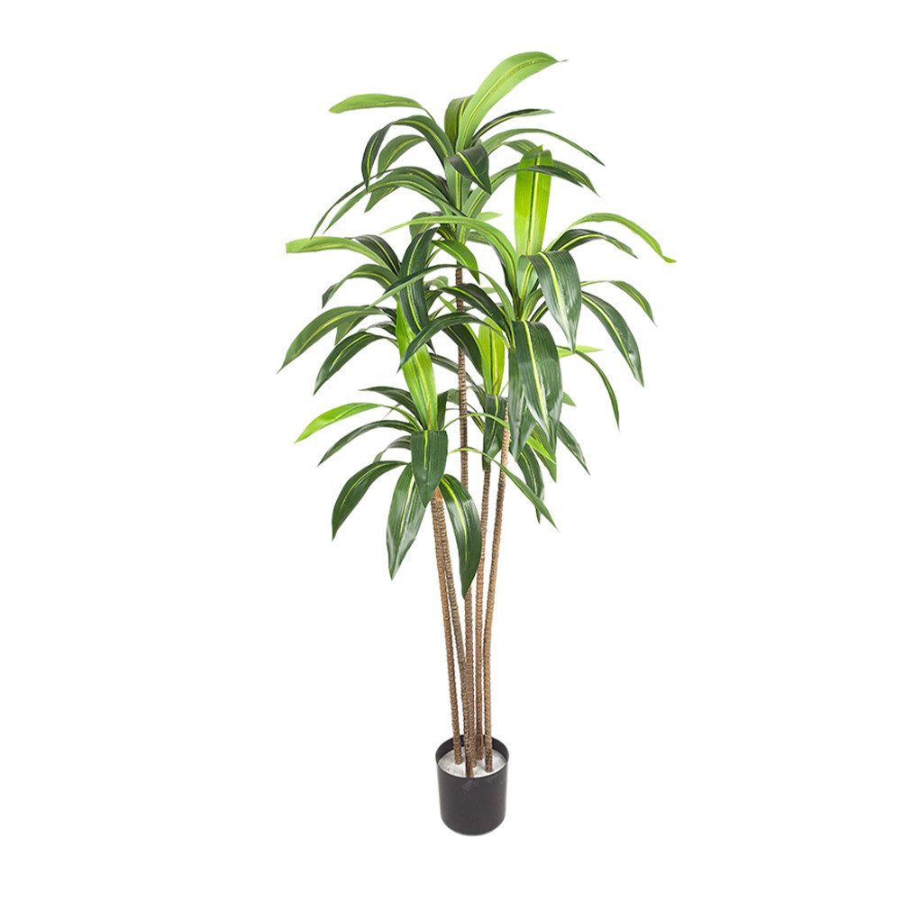 Künstliche Zimmerpflanze Garten Künstlicher Baum,180cm Faux 5 Stämme Brasil günstig online kaufen