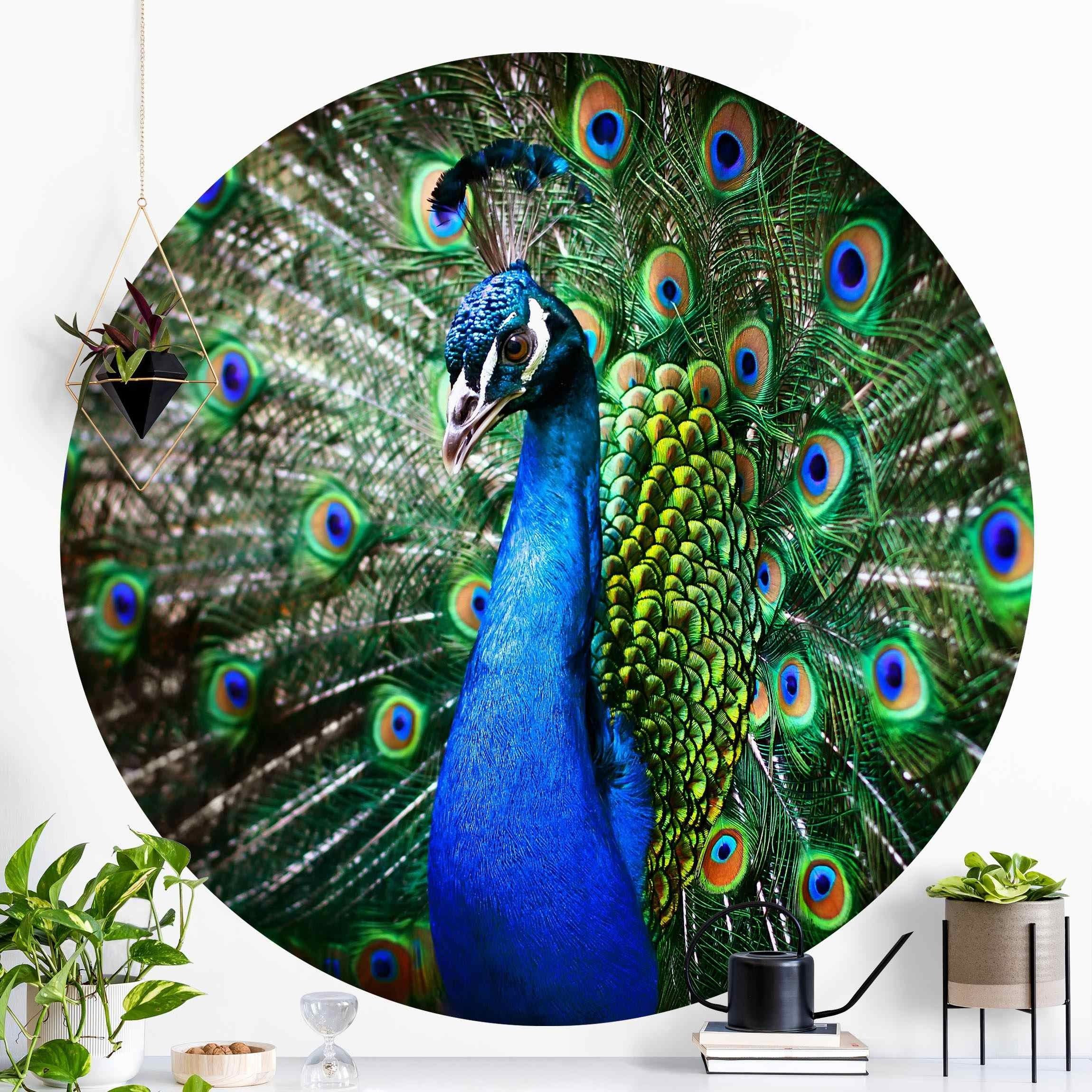 Bilderdepot24 Fototapete rund Edler Pfau, Glatt, Matt, (Vliestapete selbstklebend), Wohnzimmer Schlafzimmer Küche Wandtattoo Motivtapete Klebe Wandtapete
