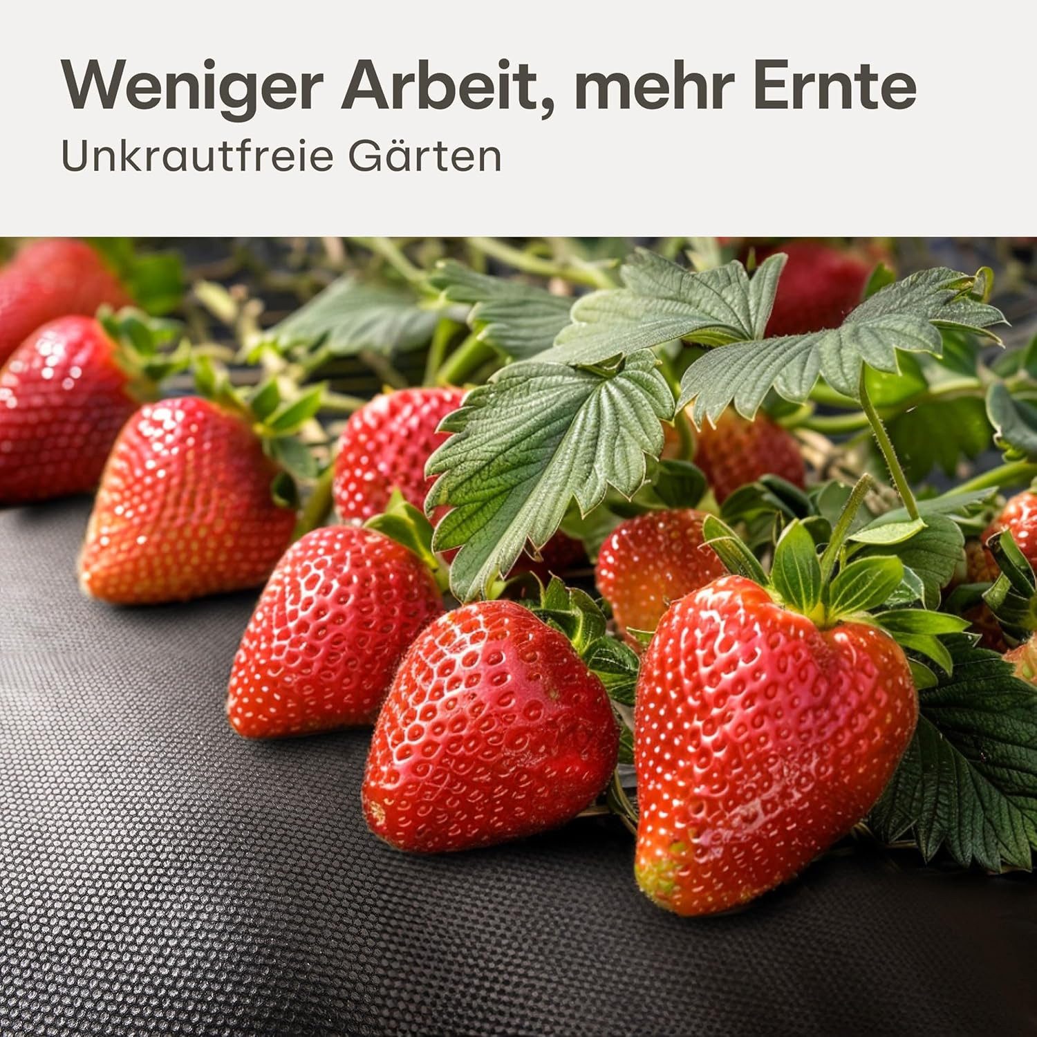 Praknu Gartenvlies Unkrautvlies 100g/m² 10m² (2x5m) - 8 Erdanker UV-Stabil & Reißfest, (10m² Set, 1-St., 100g/m² Unkrautvlies 10m² mit 8 Erdankern wasserdurchlässig), Wasserdurchlässig, UV-Stabil, Reißfest, Chemiefrei, Nachhaltig