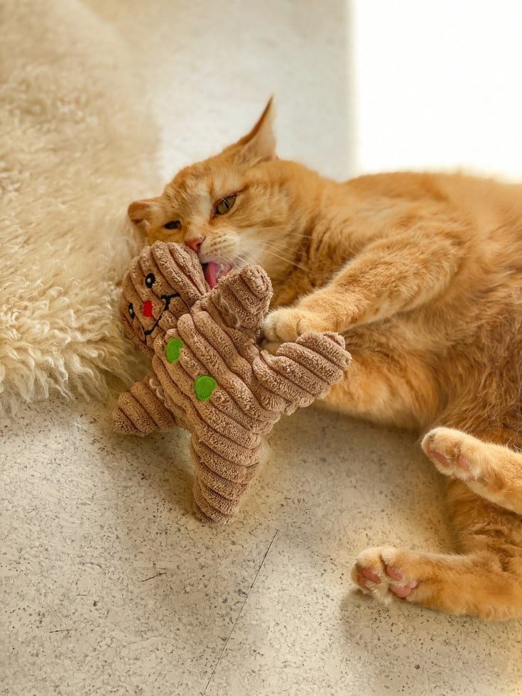 Aumüller Tierkuscheltier Aumüller Katzenspielzeug Lebkuchenmann 17 cm braun, Eiche