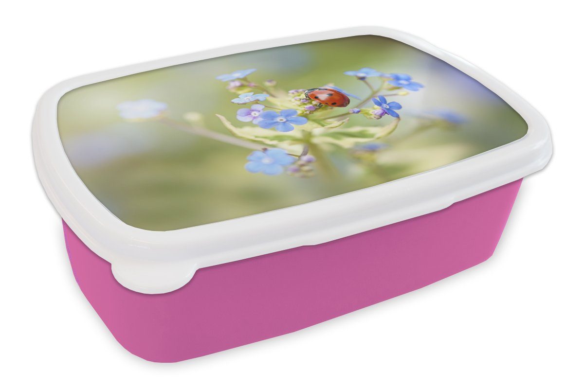MuchoWow Lunchbox Marienkäfer - Blume - Frühling, Kunststoff, (2-tlg), Brotbox für Erwachsene, Brotdose Kinder, Snackbox, Mädchen, Kunststoff rosa