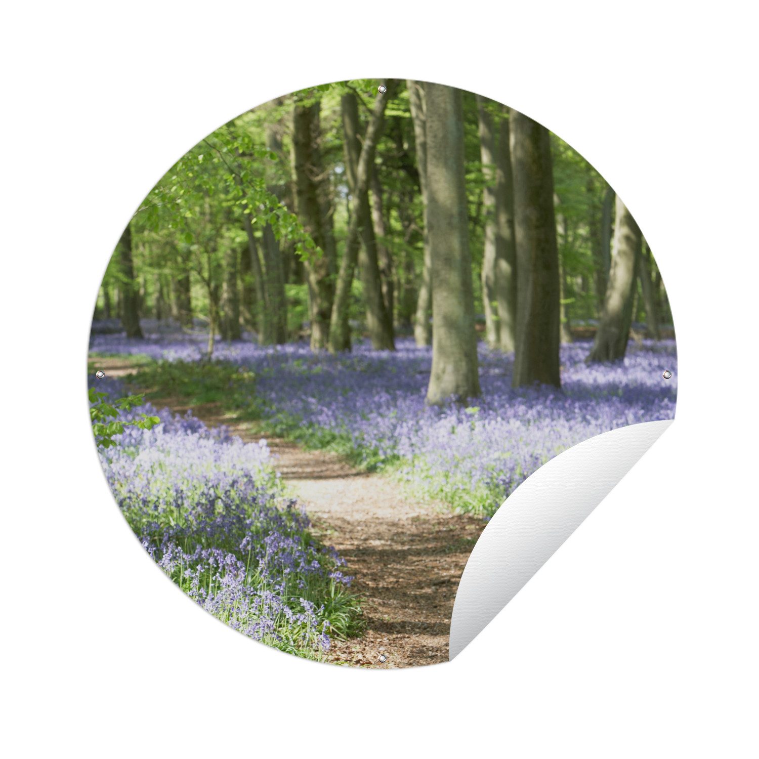 OnlyWow Poster für Garten Wald - Weg - Blumen - Lila - Grün - Natur, Gartenposter, Outdoor Bilder, Wetterfest, Garten Deko, 60x60 cm