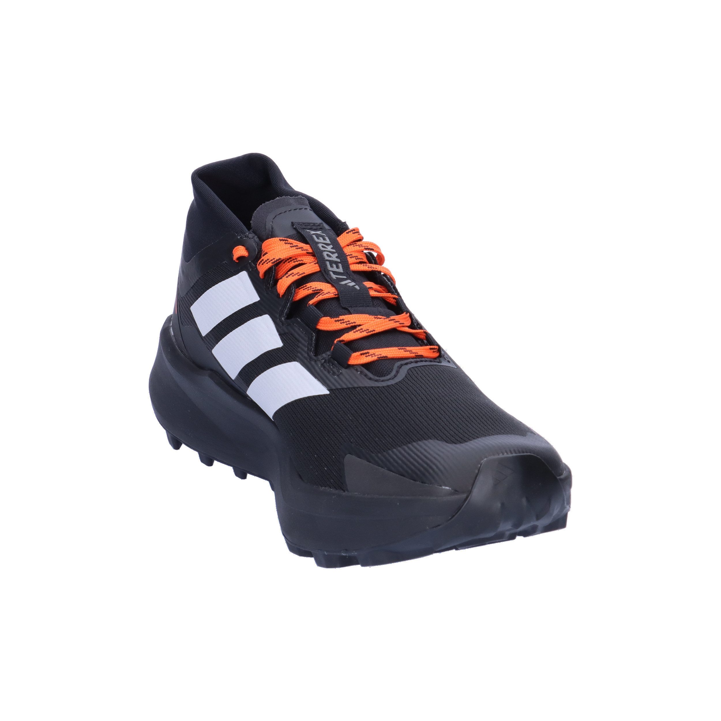 adidas TERREX adidas TERREX Herren Trailrunning günstig online kaufen