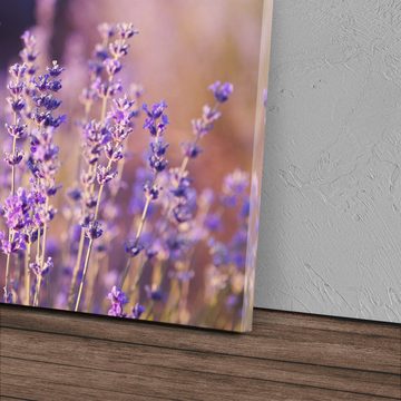 Sinus Art Leinwandbild 120x80cm Wandbild auf Leinwand Lavendel Lila Blumen Sommer Wildblumen, (1 St)