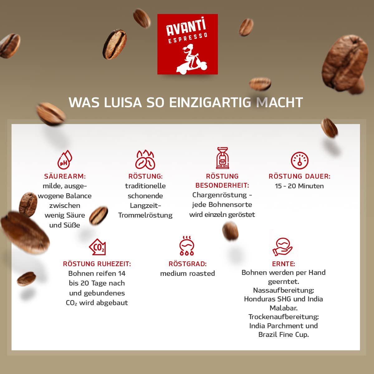 LK Trend & Style Kaffee Avanti Luisa Bohnen Kaffee-Creme, 1 x 500 g, (für Kaffee-Vollautomat oder Siebträgermaschine, Traditionelle Trommelröstung), 90% Arabica-10% Robusta Mischung