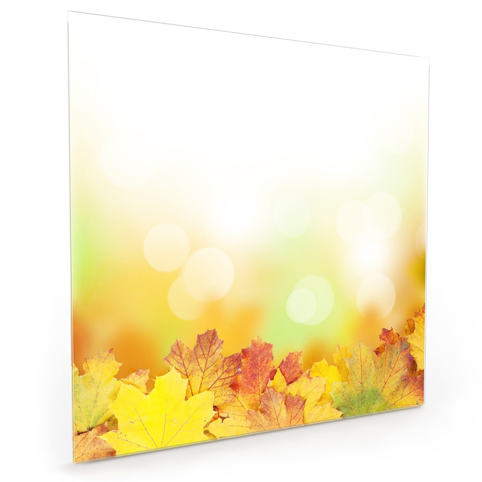 Herbstblätter Glas Primedeco Sonnenlicht im Spritzschutz Küchenrückwand