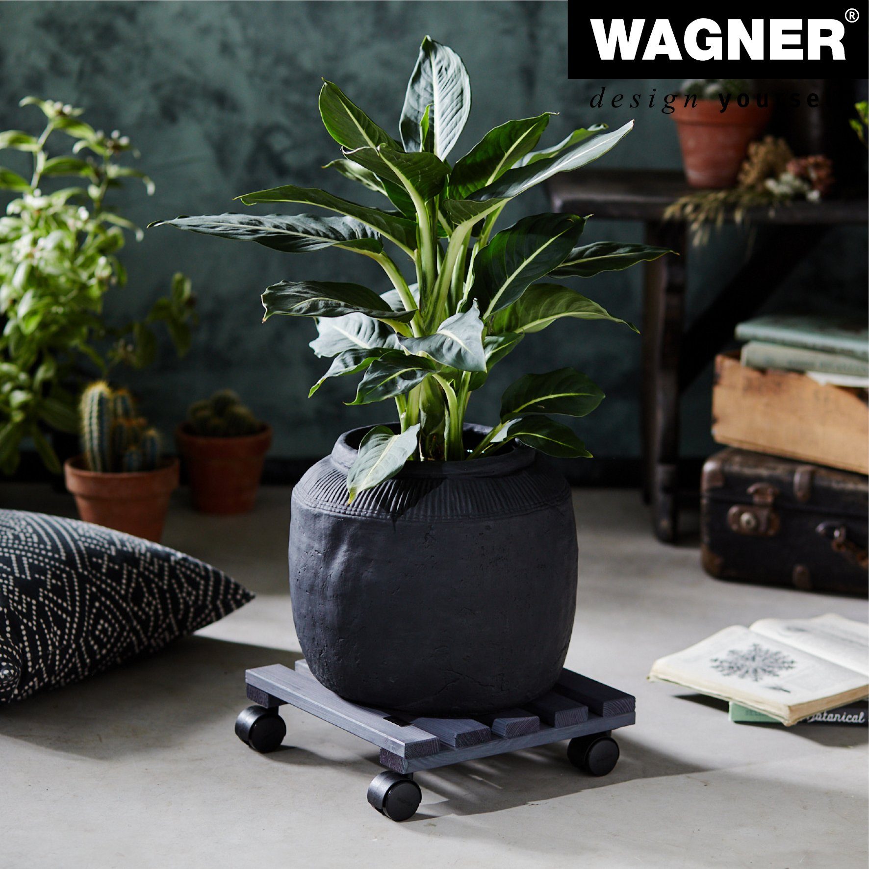 Thumbnail - WAGNER design yourself Pflanzenroller NATURE in diversen Größen I für Innenbereich I rund und eckig I aus FSC® Massivhol...