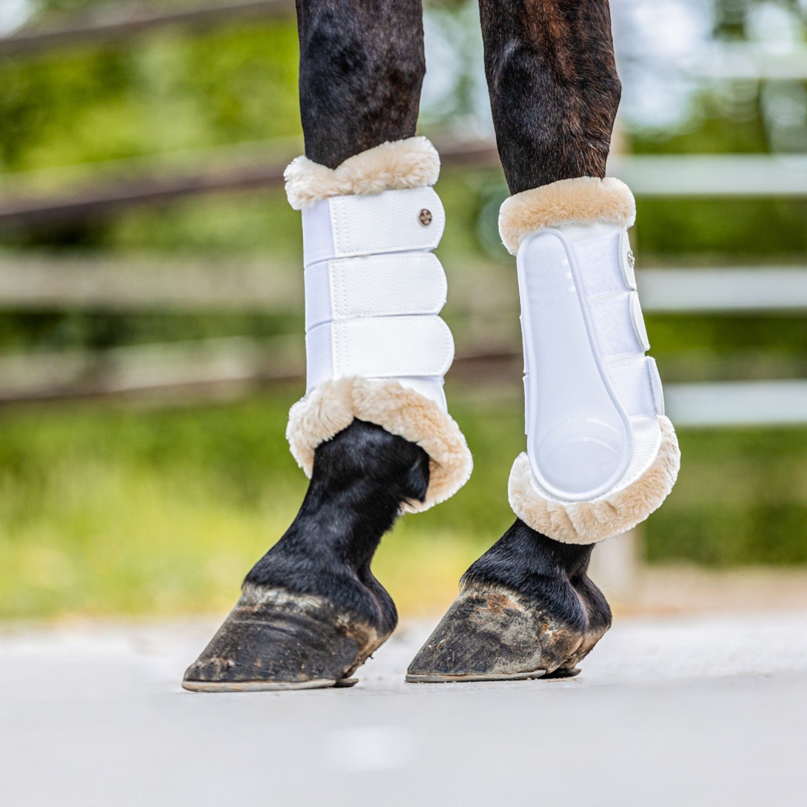 EQuest Gamaschen Safety Soft Gamasche, 2er Set, weiß, L / Warmblut / Full