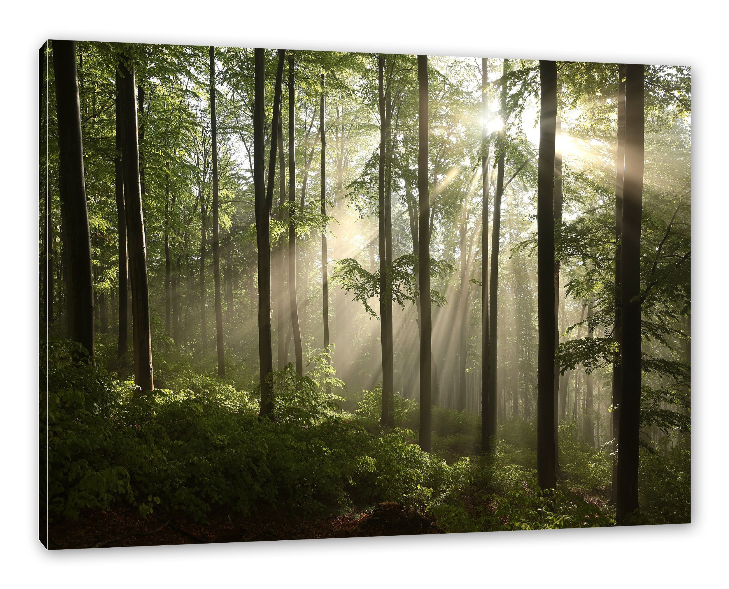 Sonnenstrahlen Leinwandbild Wald, Wald Leinwandbild Pixxprint im inkl. Zackenaufhänger St), (1 fertig im Sonnenstrahlen bespannt,
