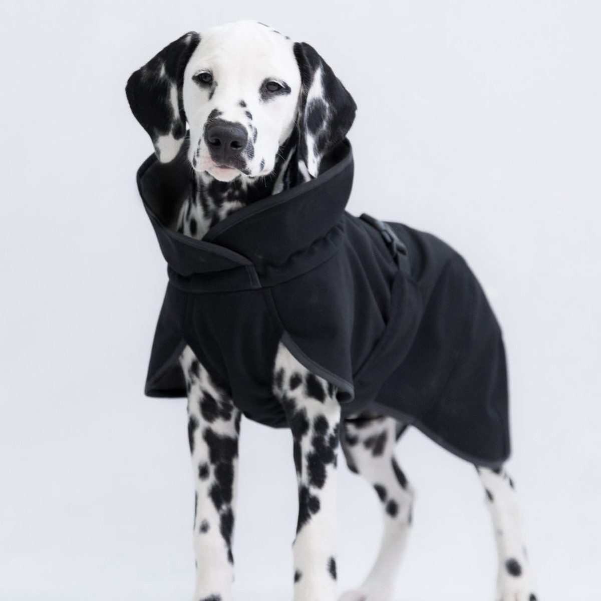 PAIKKA Hundemantel Hunde Jacke wärmend "Recovery Softshell Jacket schwarz