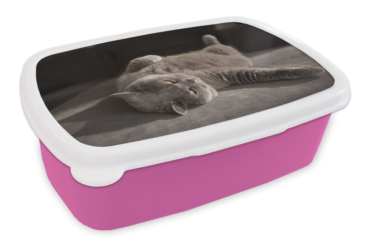 MuchoWow Lunchbox Tier - Katze - Grau, Kunststoff, (2-tlg), Brotbox für Erwachsene, Brotdose Kinder, Snackbox, Mädchen, Kunststoff rosa