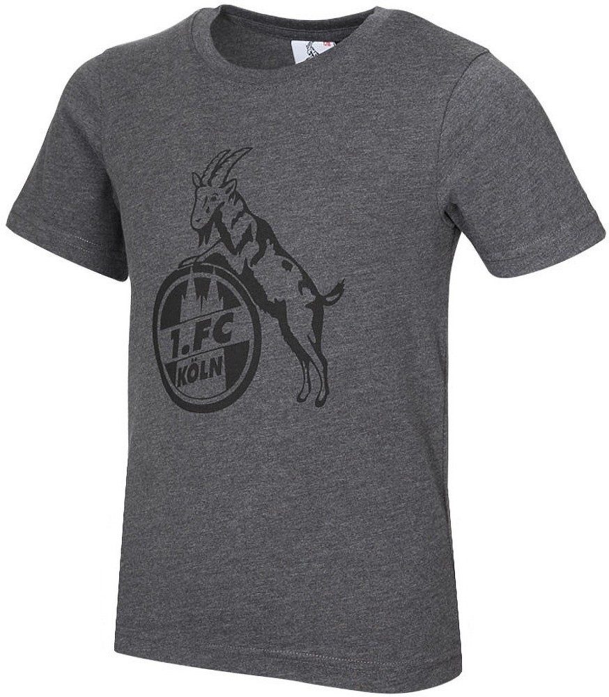 1. FC Köln T-Shirt T-Shirt Basic Anthrazit