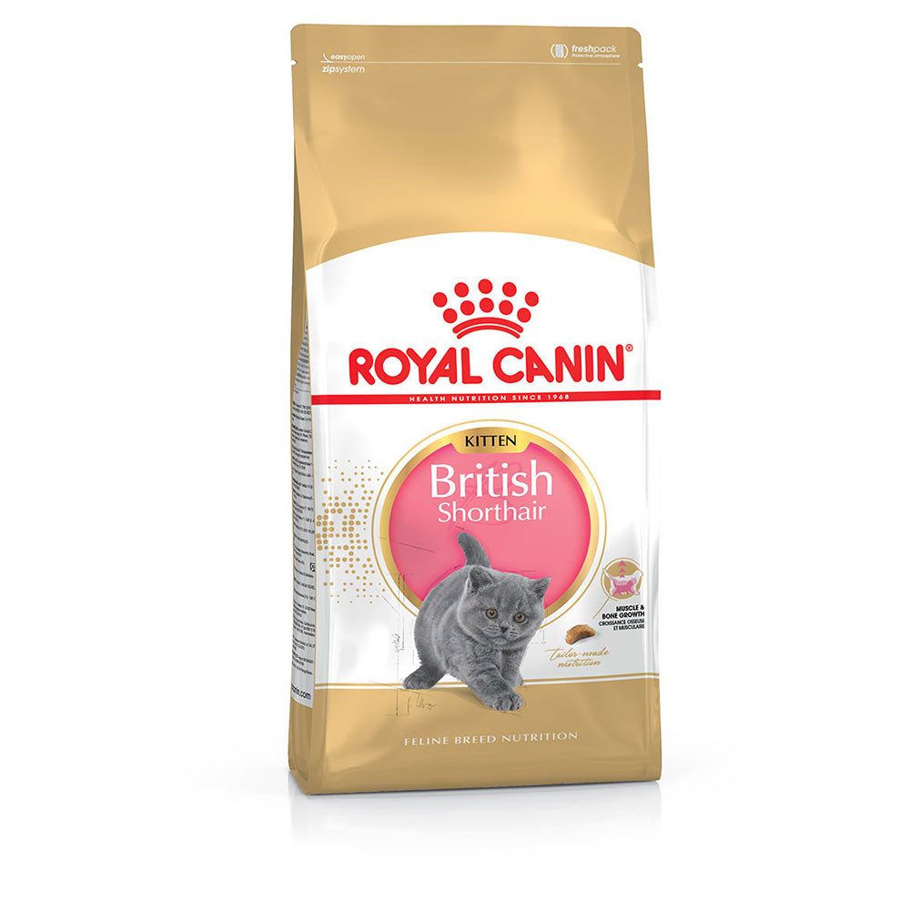 Royal Canin Breed British Shorthair Kitten 400 g, Trockenfutter für: Katze