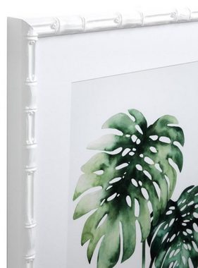 Casa Padrino Bilderrahmen Bilder / Kunstdruck Set Tropische Pflanzen Grün / Weiß 59 x H. 69 cm - Luxus Deko