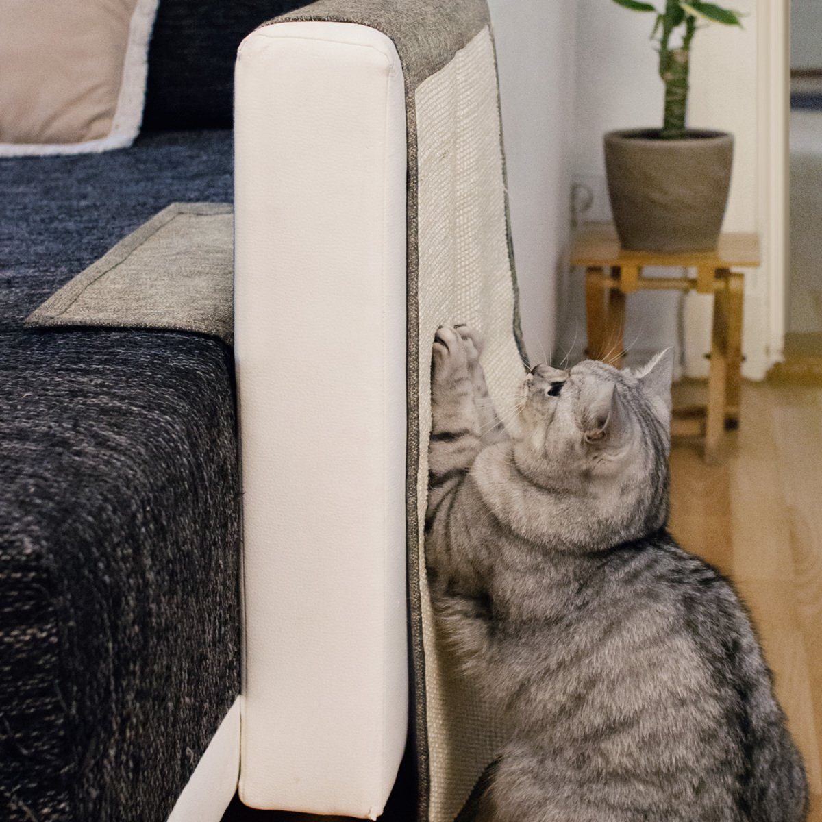 Navaris Kratzpappe Katzen Kratzmatte für Sofa, günstig online kaufen